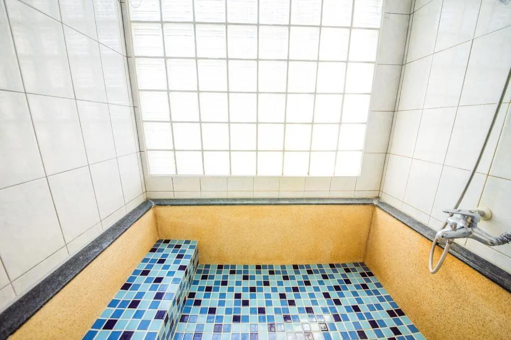 AOIKE Hot Spring Hotel