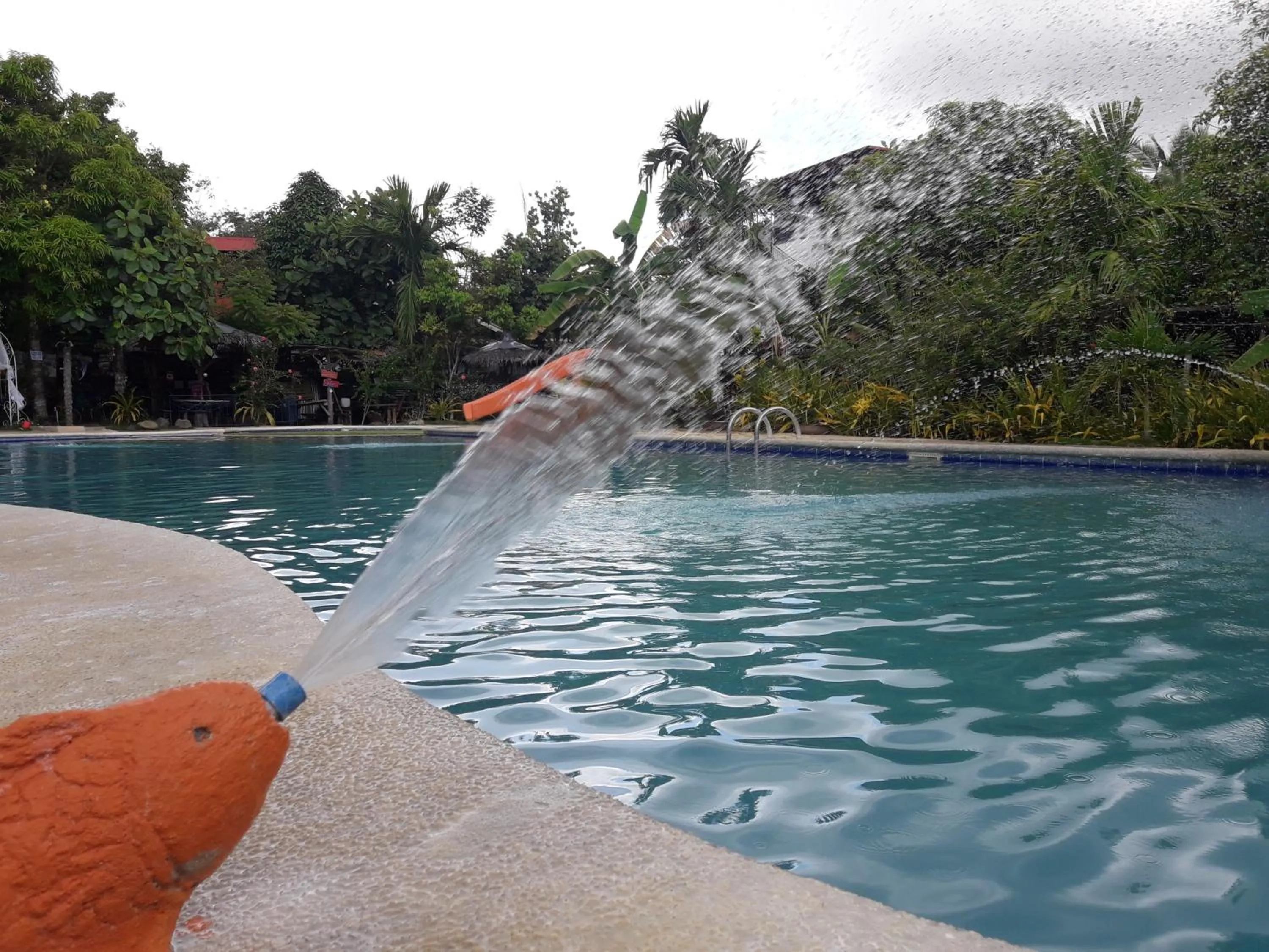 Swimming pool in Relaxing Garden Resort