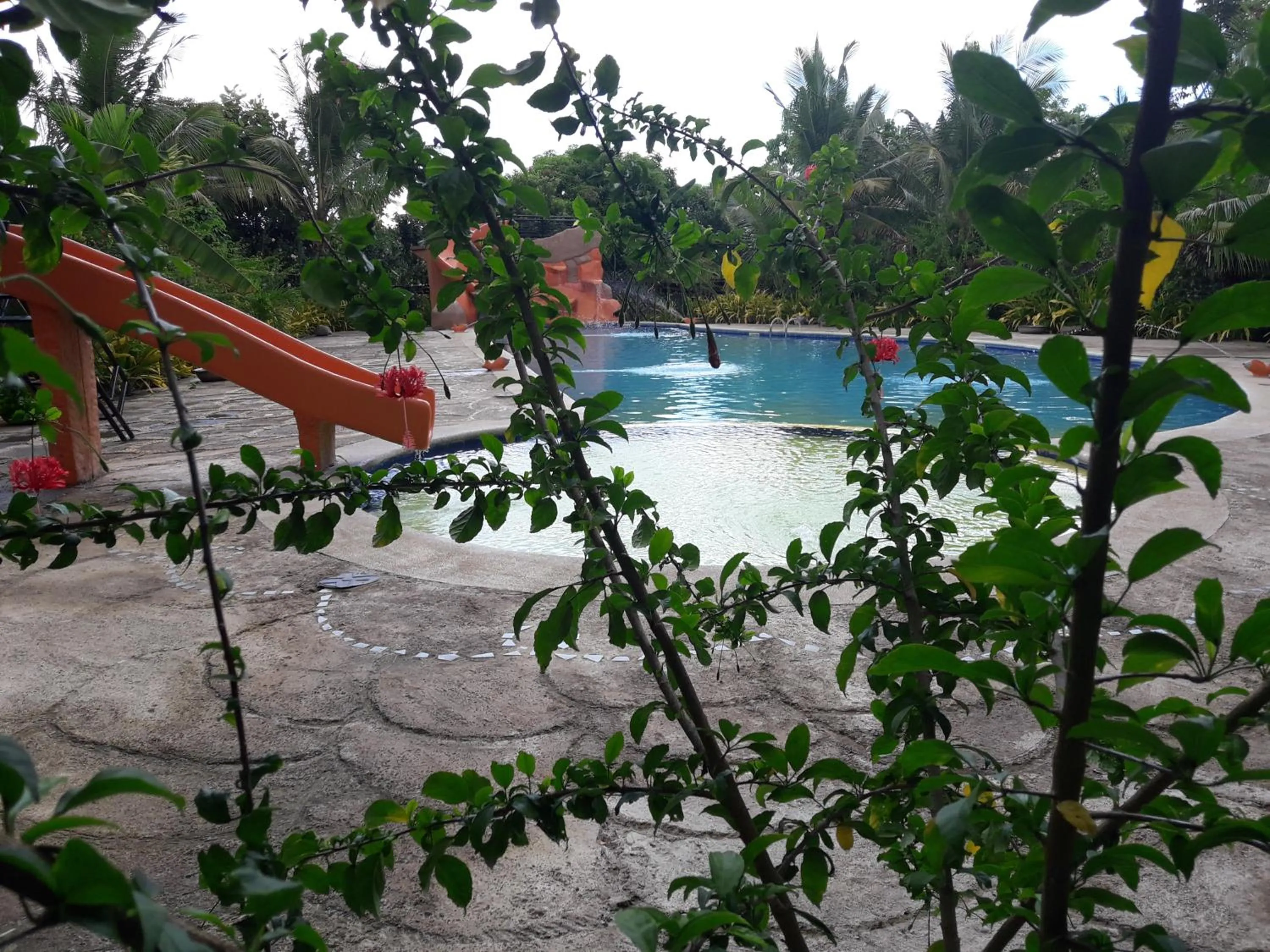 Swimming pool in Relaxing Garden Resort