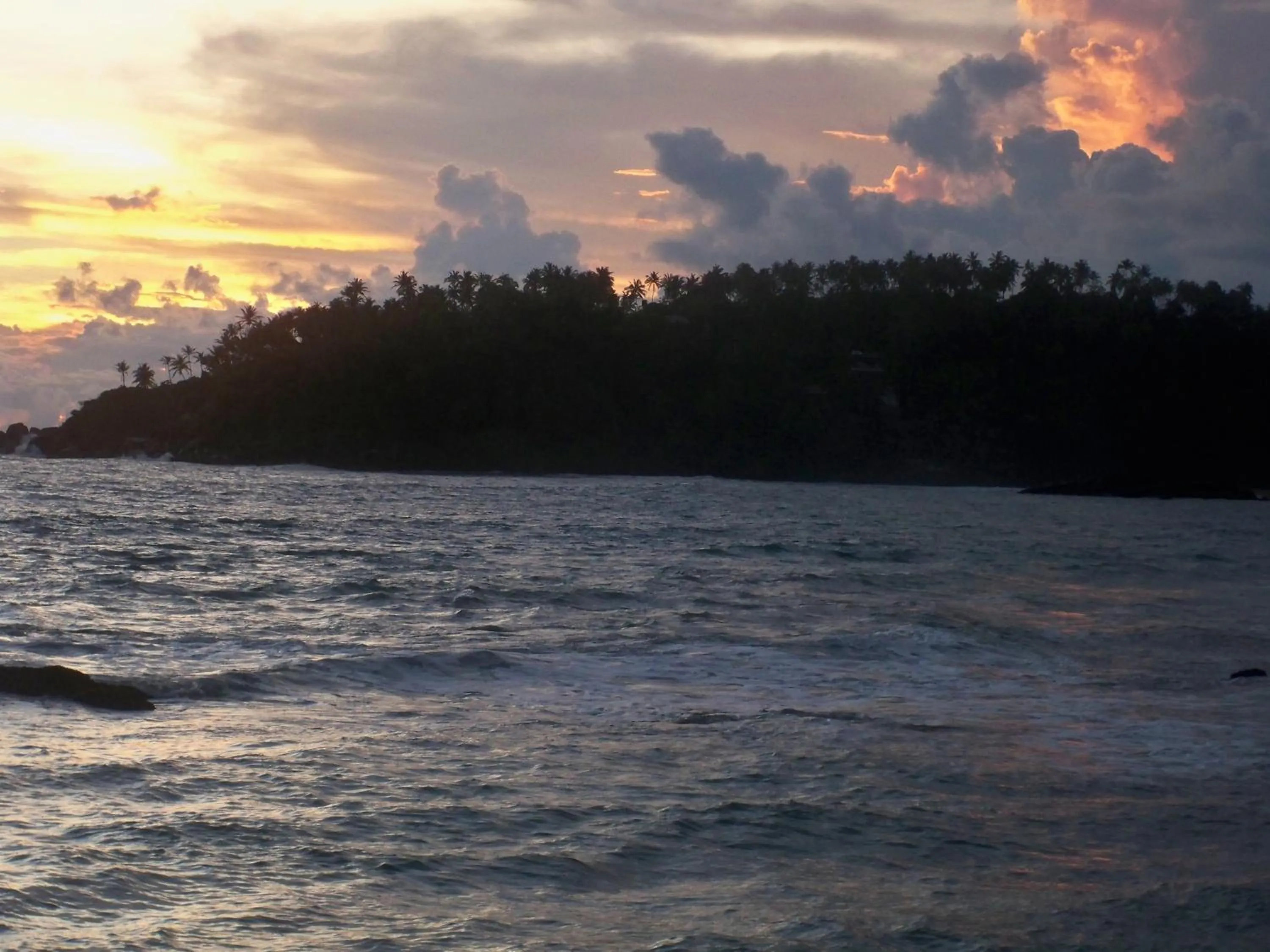 View (from property/room) in Village Star Rest-Mirissa