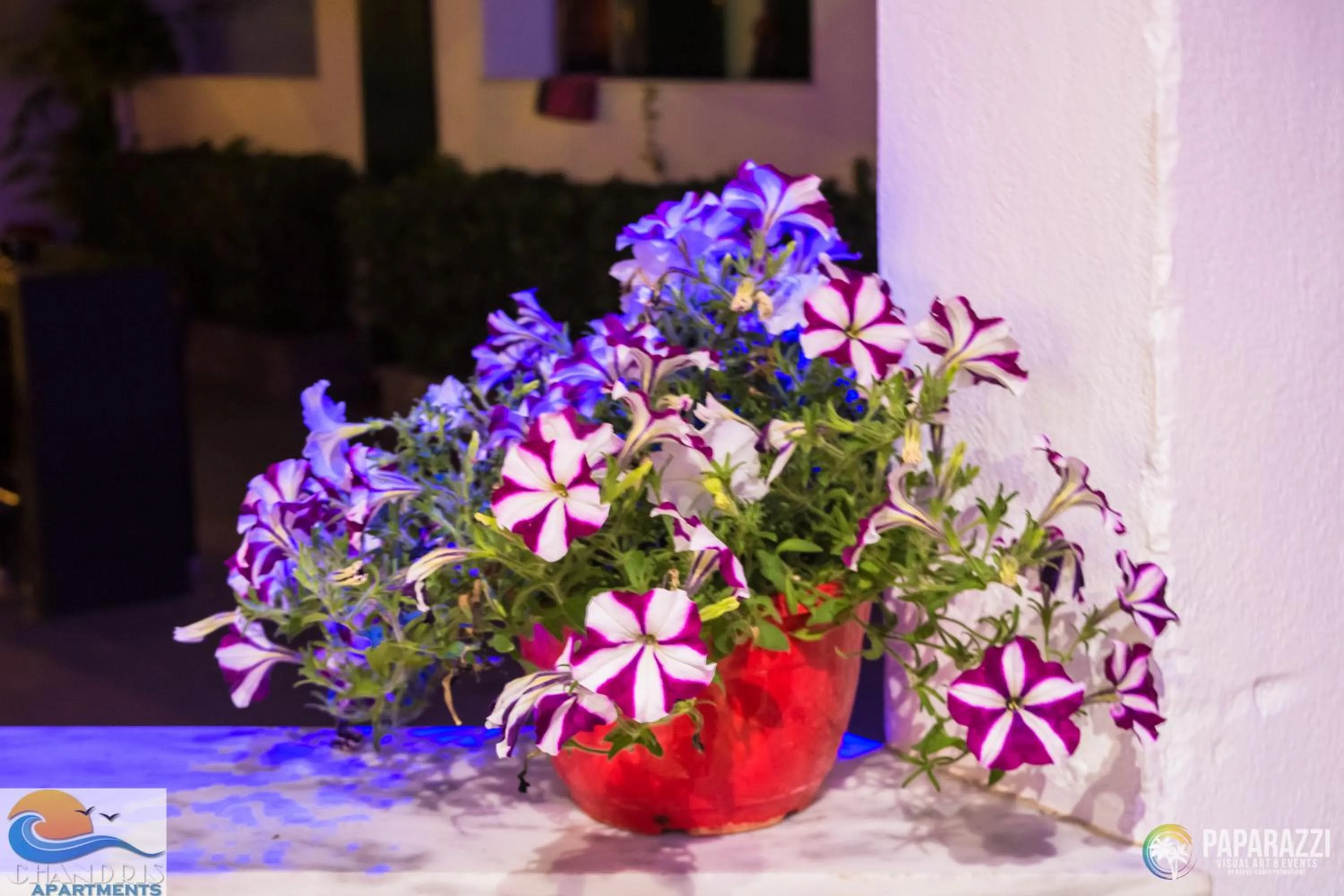 Decorative detail in Chandris Apartments