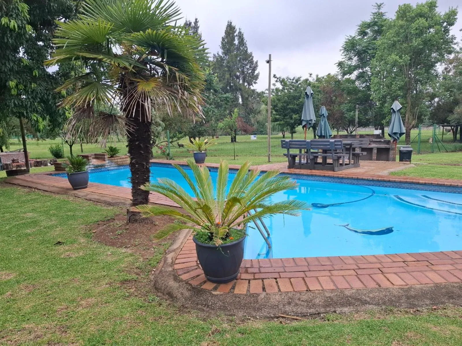 Swimming pool in Airport Bird & Game Lodge