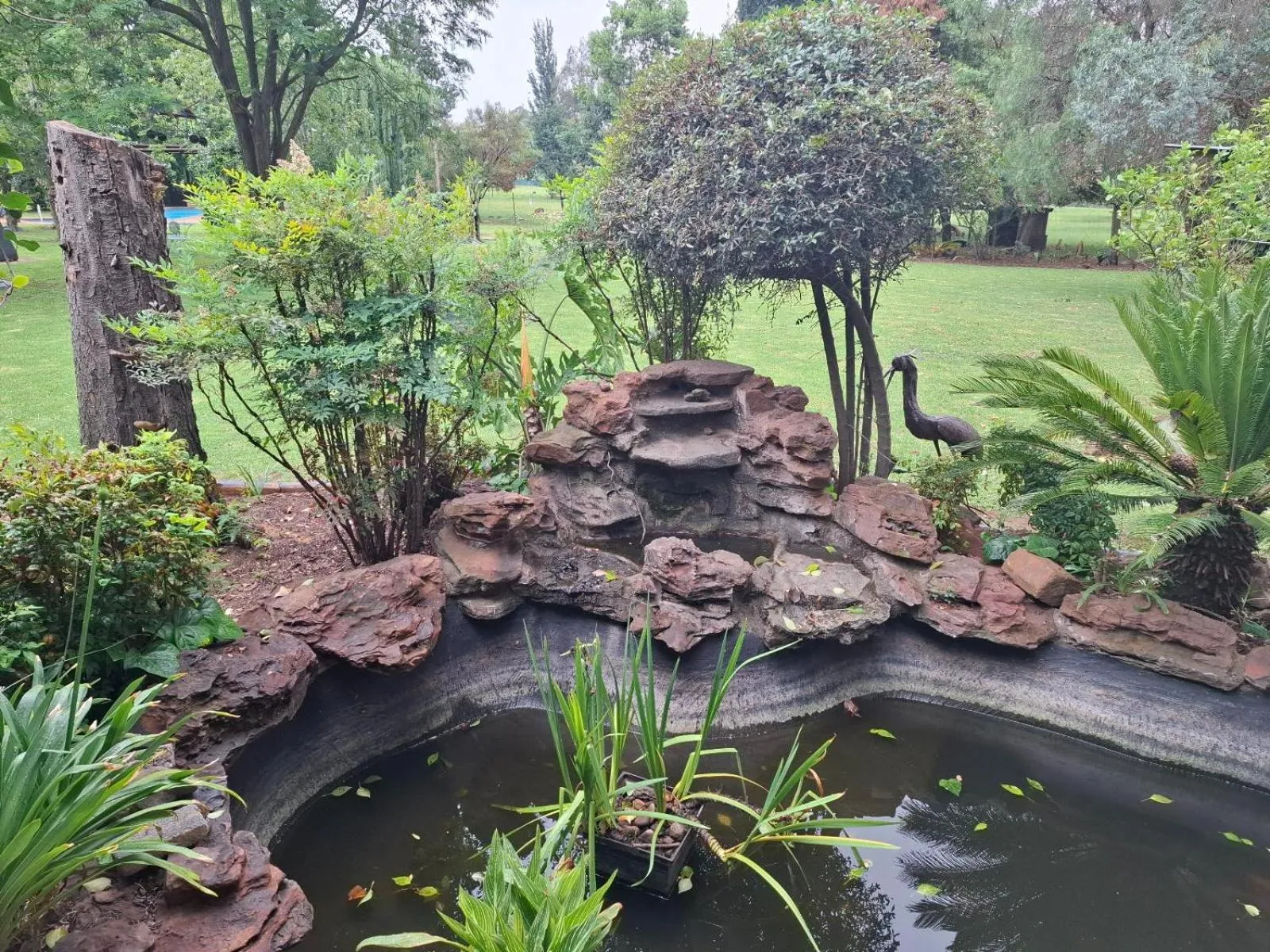 Garden in Airport Bird & Game Lodge