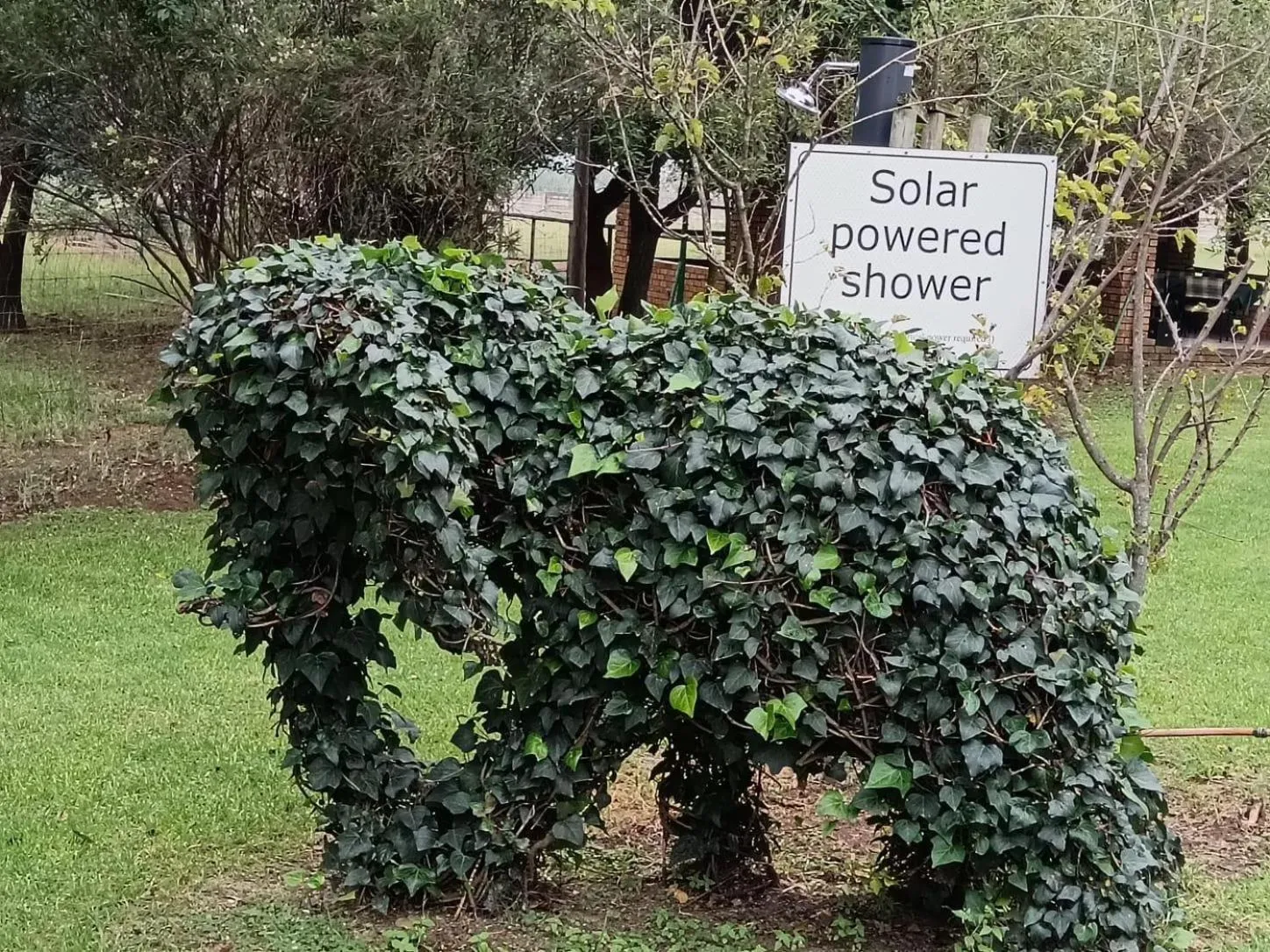 Swimming pool in Airport Bird & Game Lodge