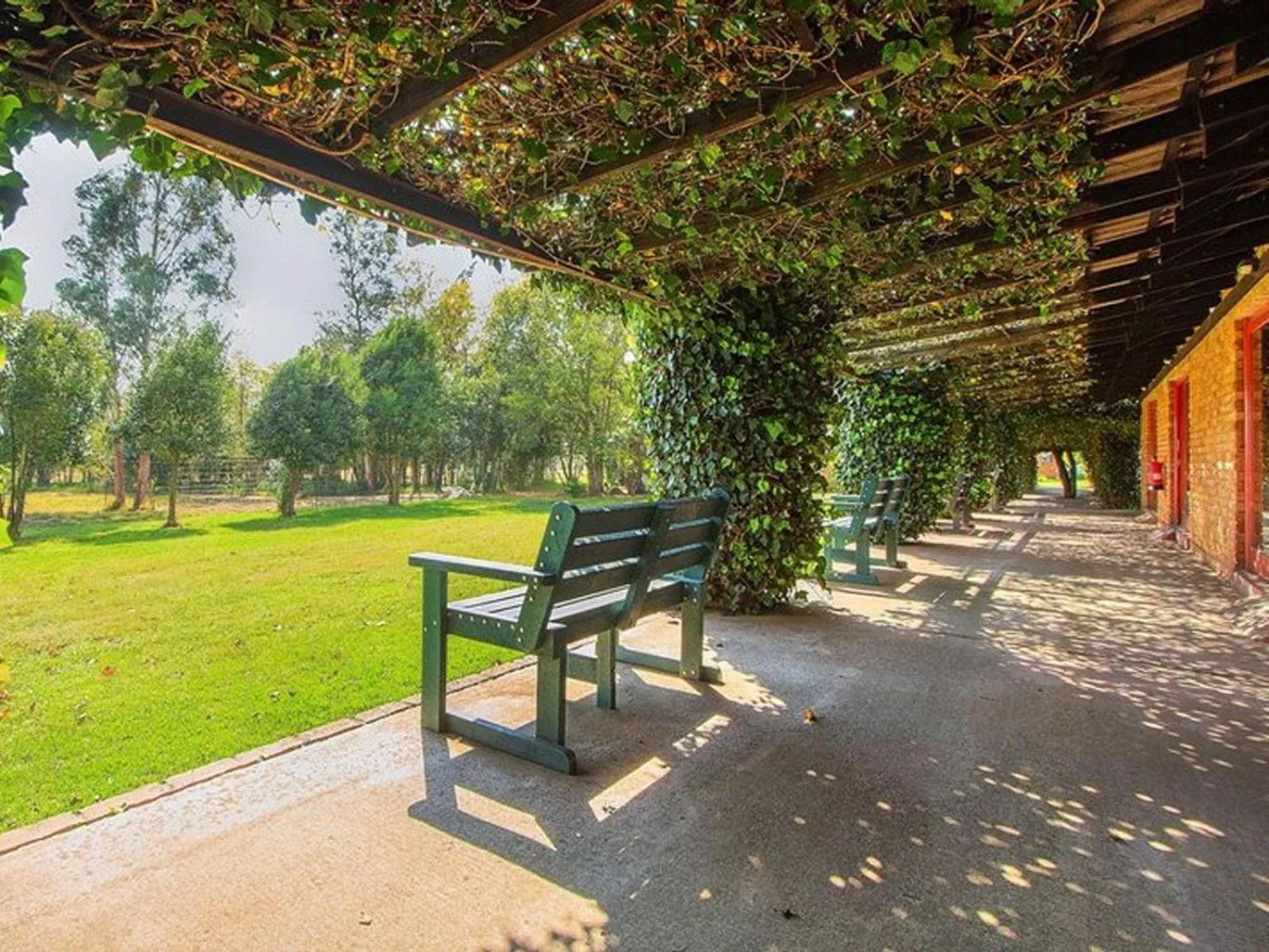 Patio in Airport Bird & Game Lodge