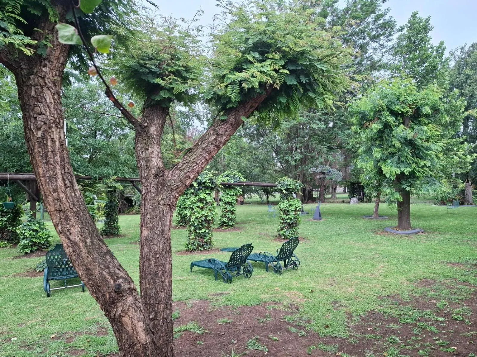 Garden in Airport Bird & Game Lodge