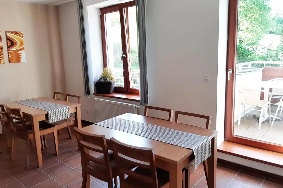 Kitchen or kitchenette in Hotel Toč