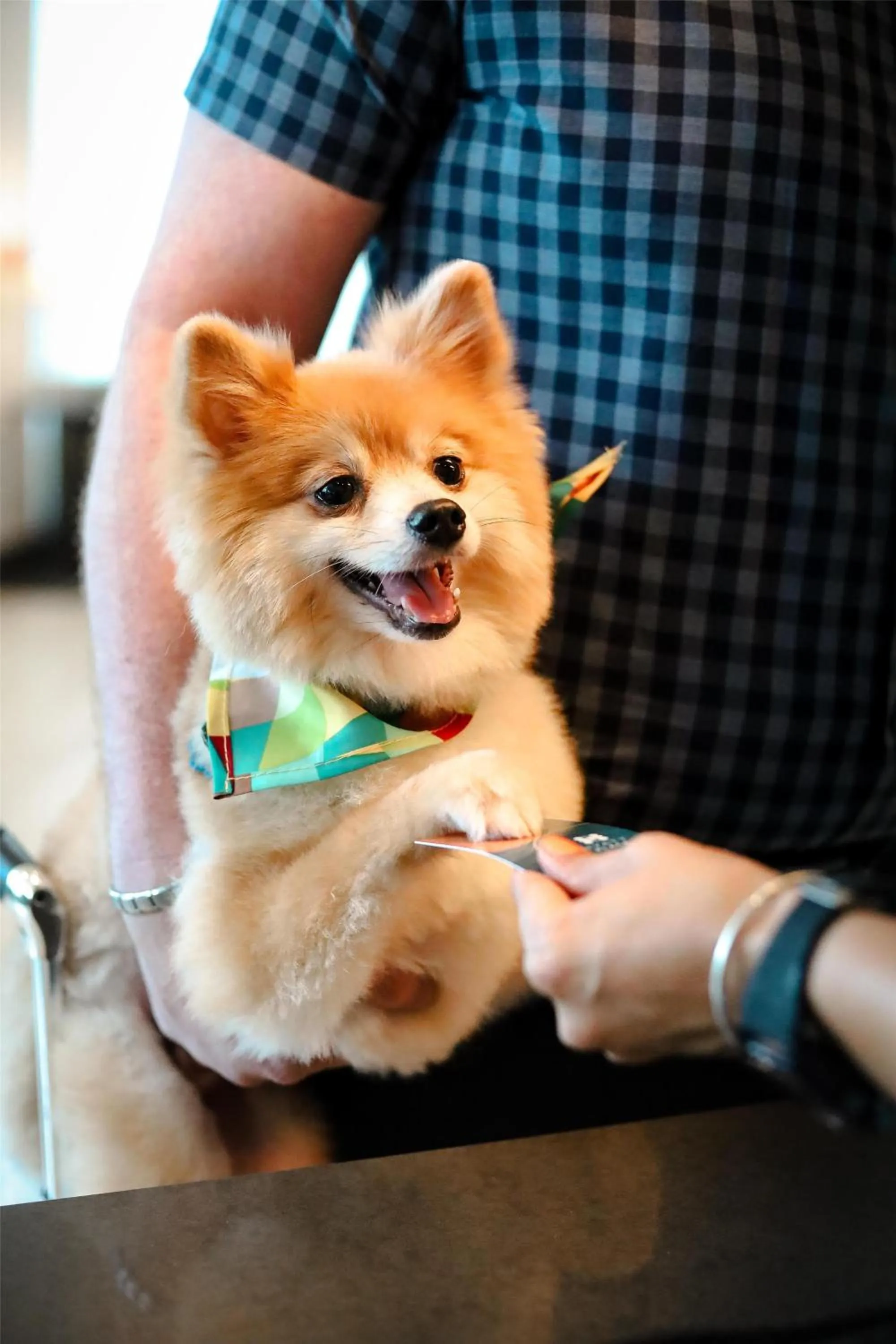 Lobby or reception in Hyatt Place San Juan