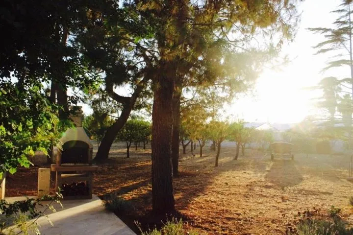 Gli Allori - Fuga dalla città