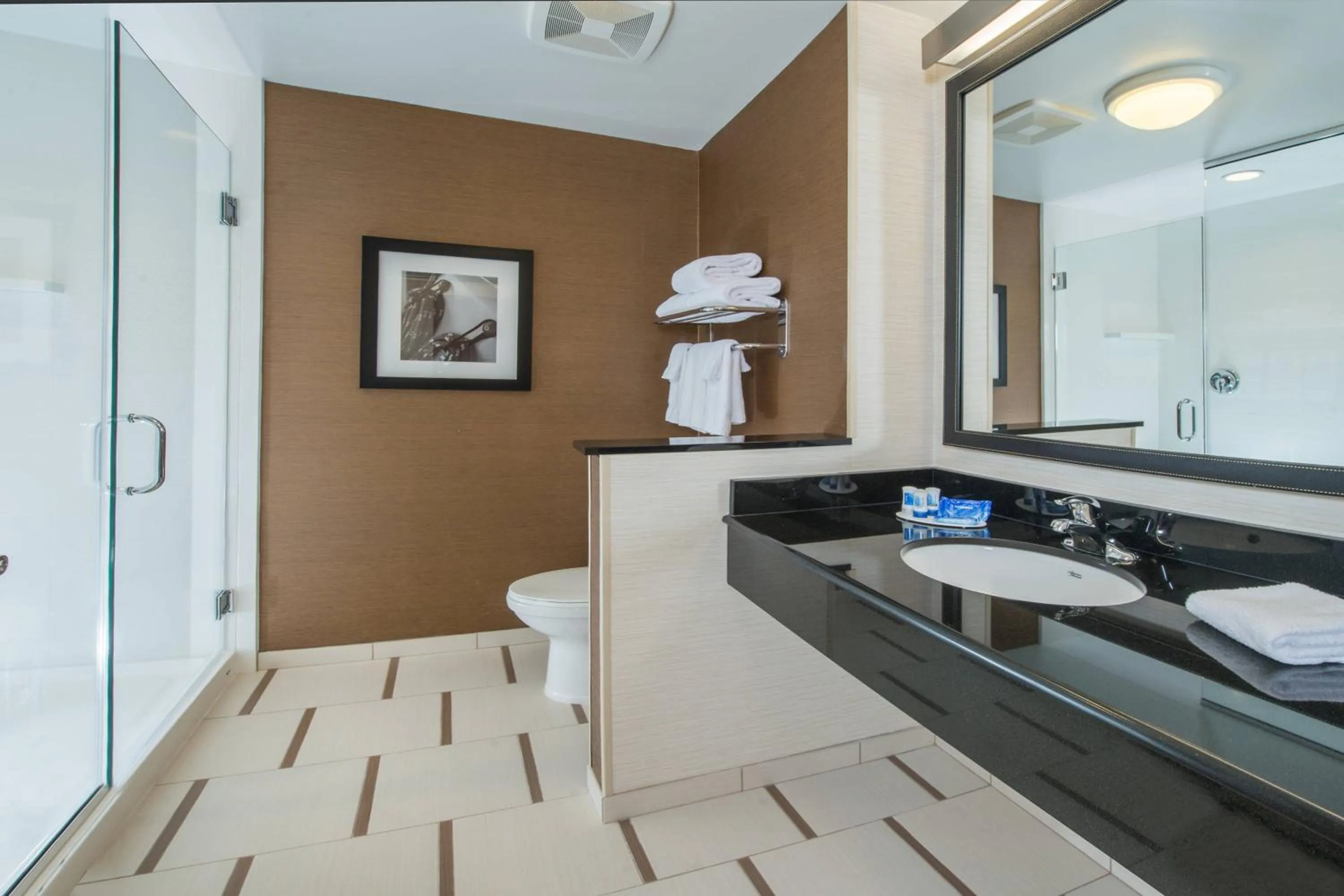 Bathroom in Fairfield Inn & Suites by Marriott Easton