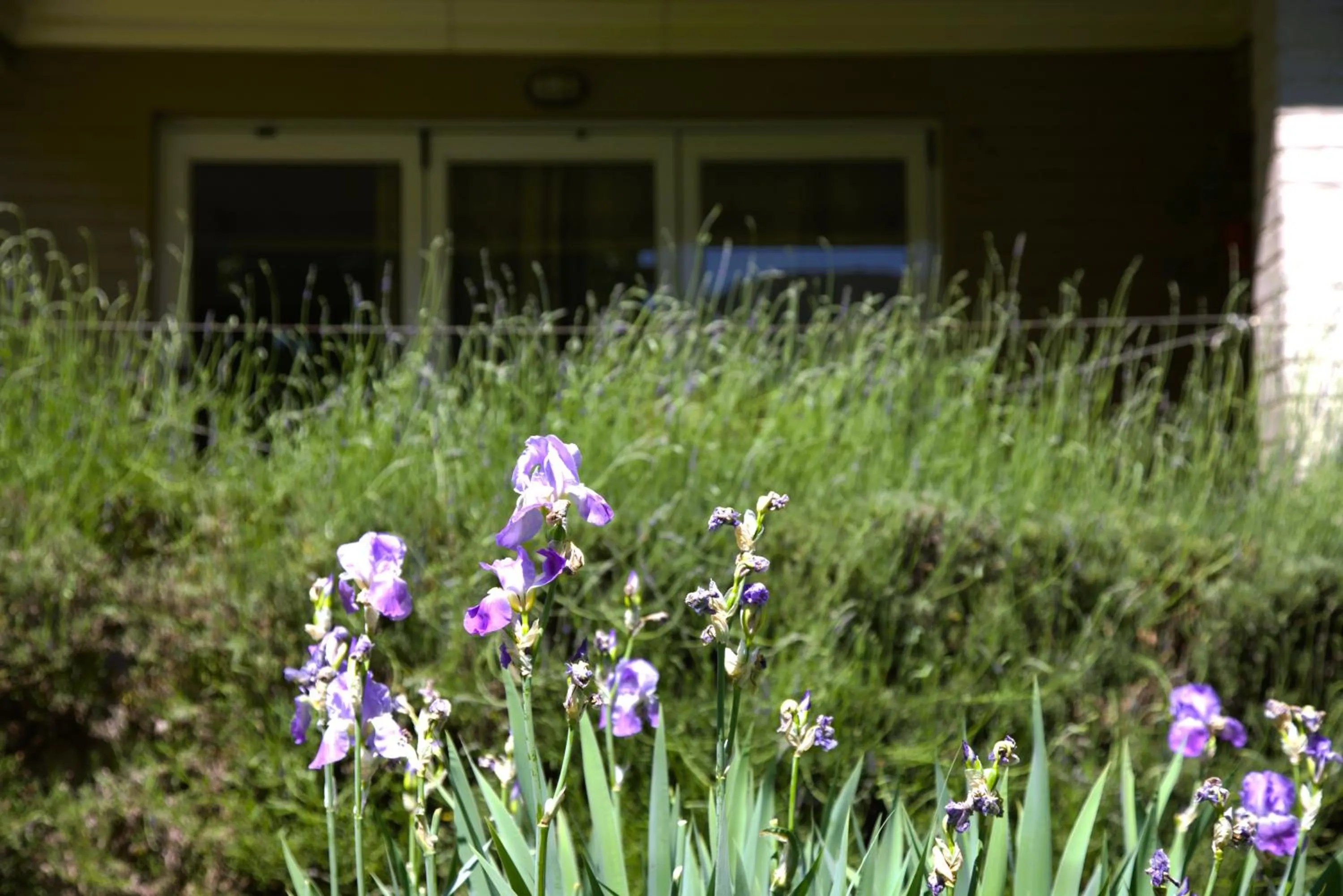 Upper House Guesthouse