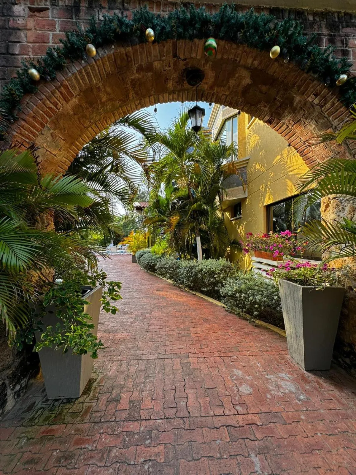 Garden in Porto Bello Hotel Boutique