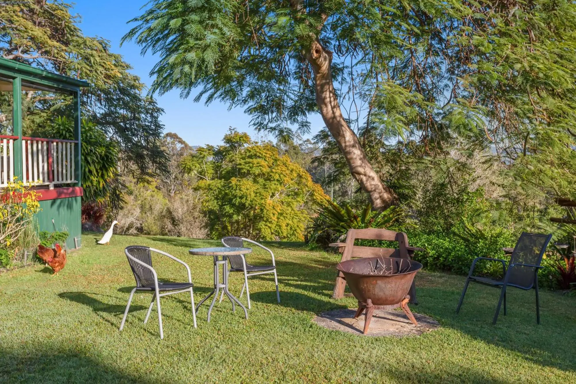 Garden in Amamoor Homestead and Country Cottages