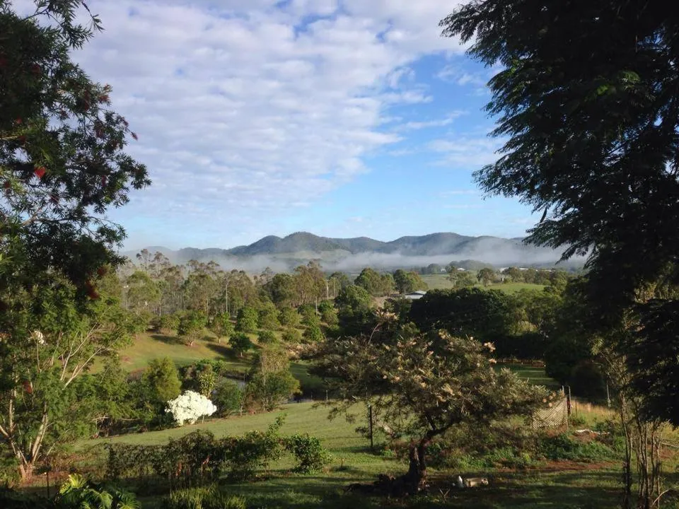 Natural landscape in Amamoor Homestead and Country Cottages