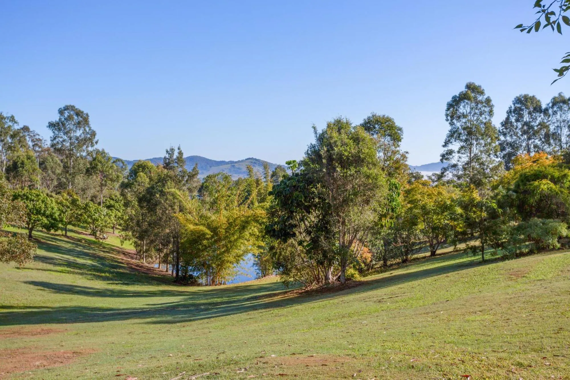 Natural landscape in Amamoor Homestead and Country Cottages