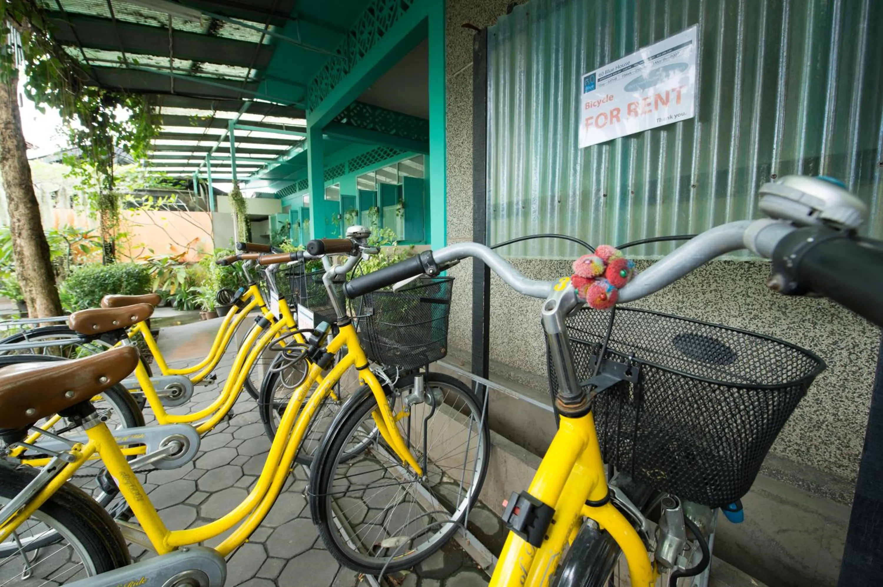 Cycling in 60 Blue House