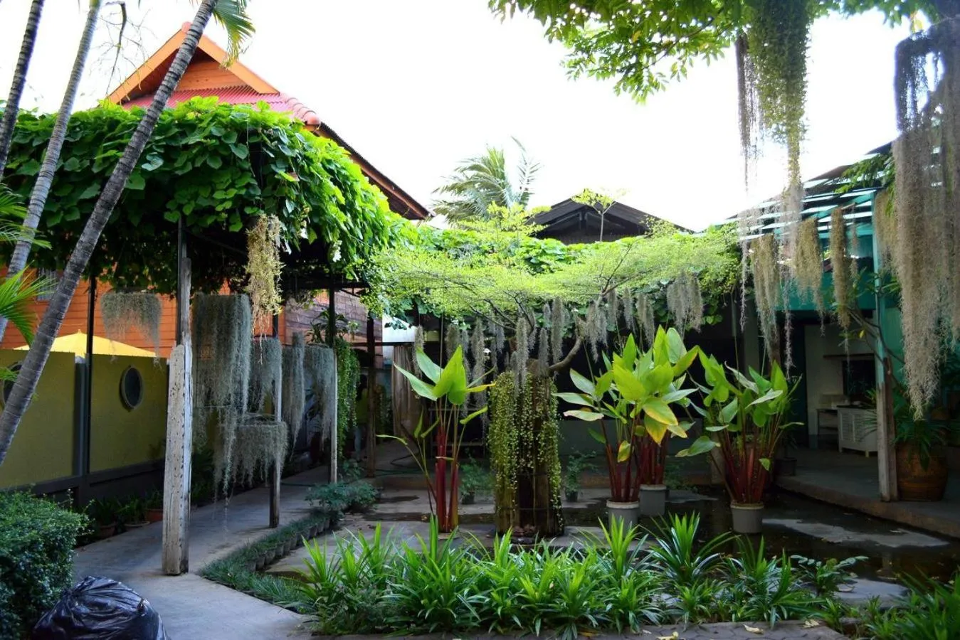 Garden in 60 Blue House