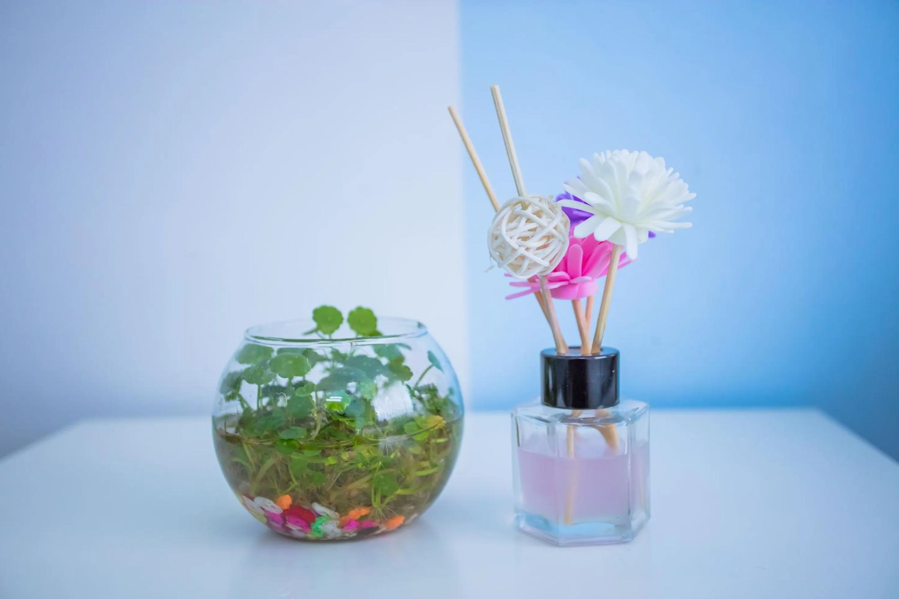 Decorative detail in Murphy Youth Hostel Guilin桂林北站莫非青年旅舍