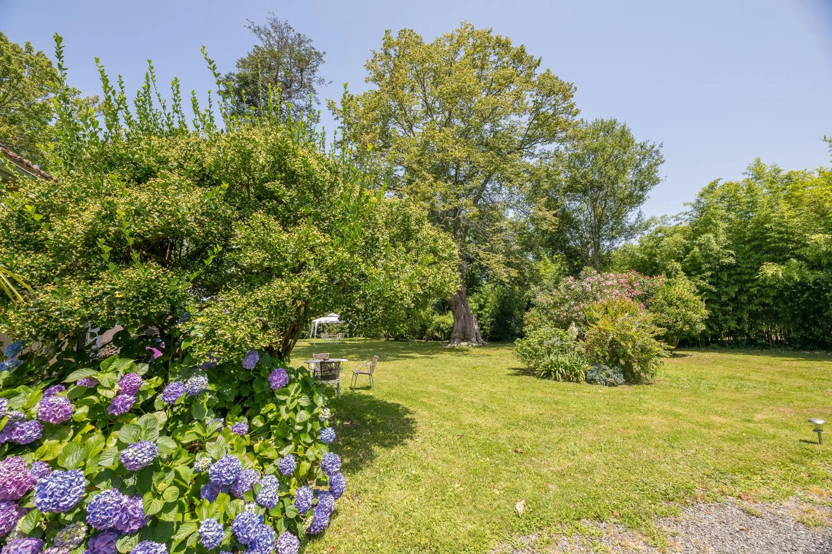 Garden view in Appart'Hôtel Bellevue