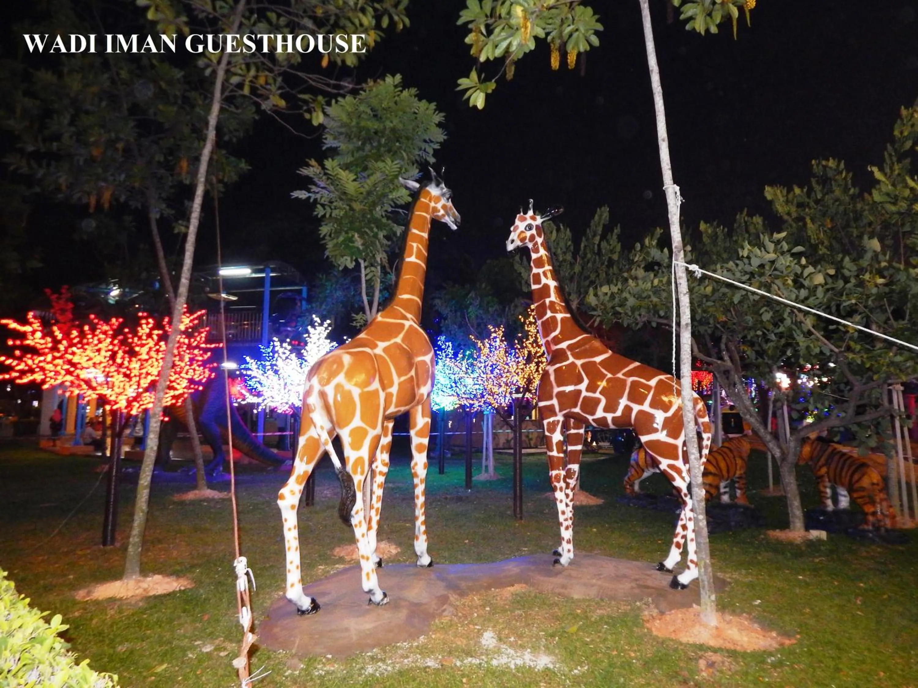 Evening entertainment in Wadi Iman Guesthouse @ i-City