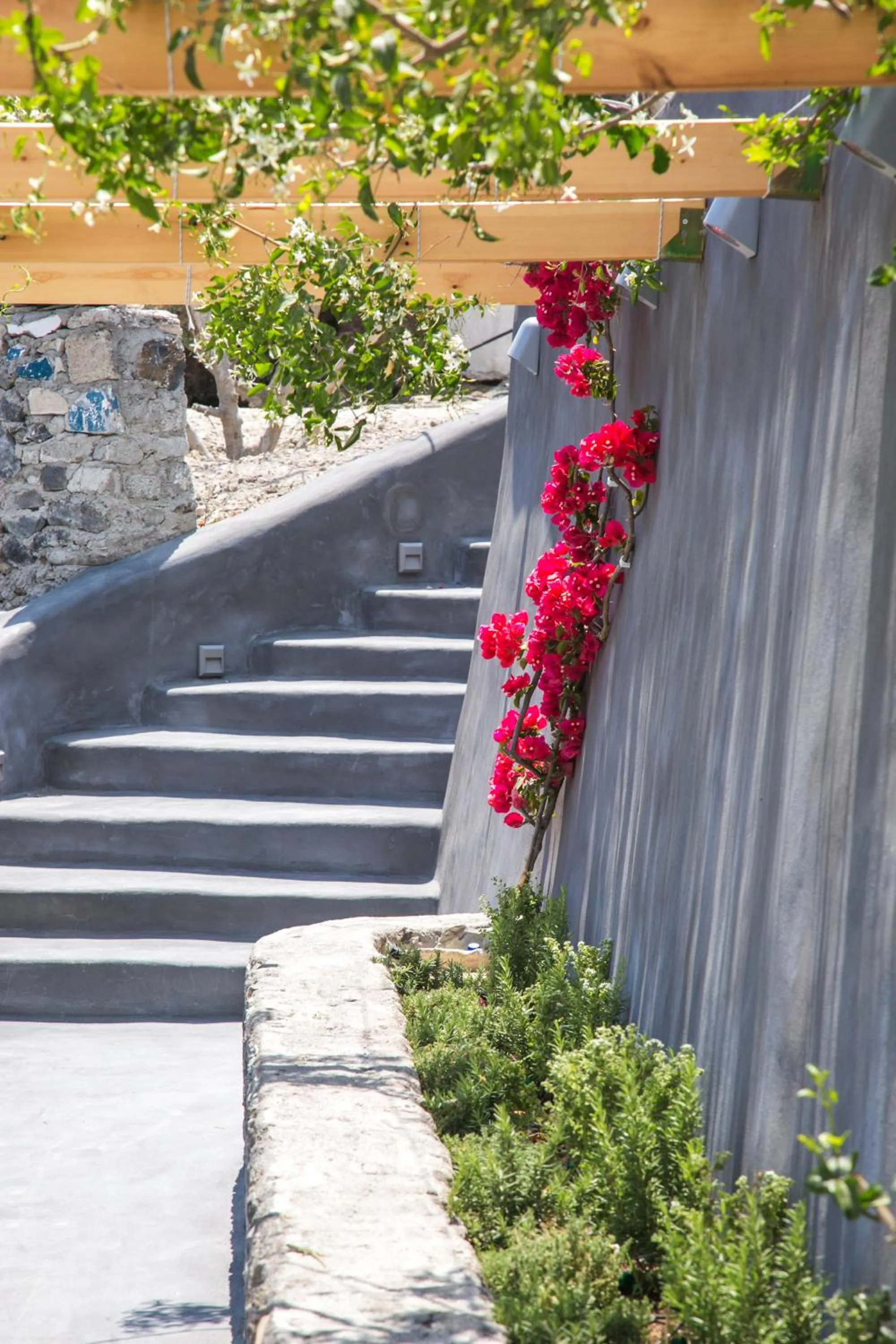 Garden in Santorini Villas