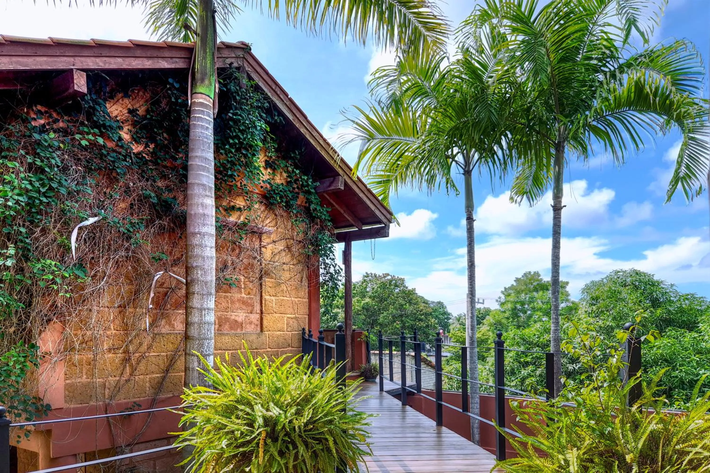 Garden in Hotel Casa San Pancho