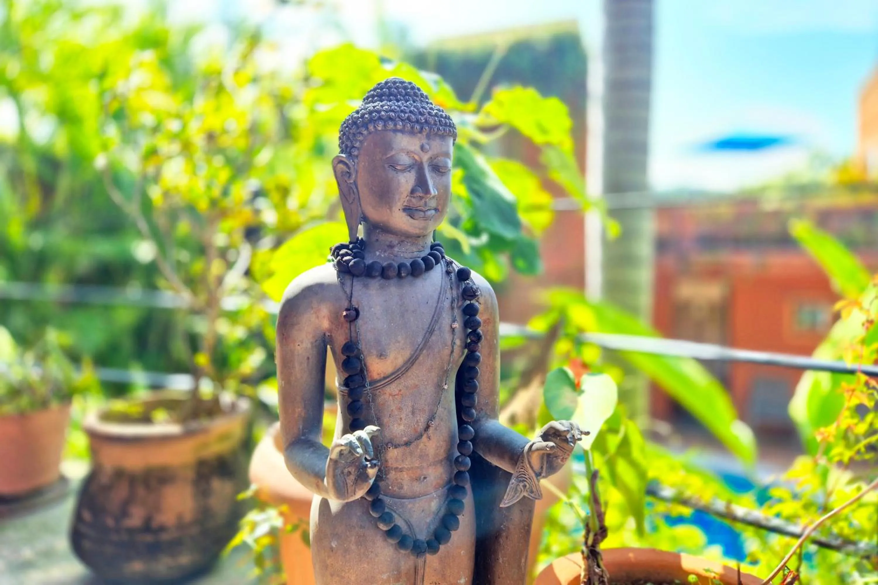 Garden in Hotel Casa San Pancho