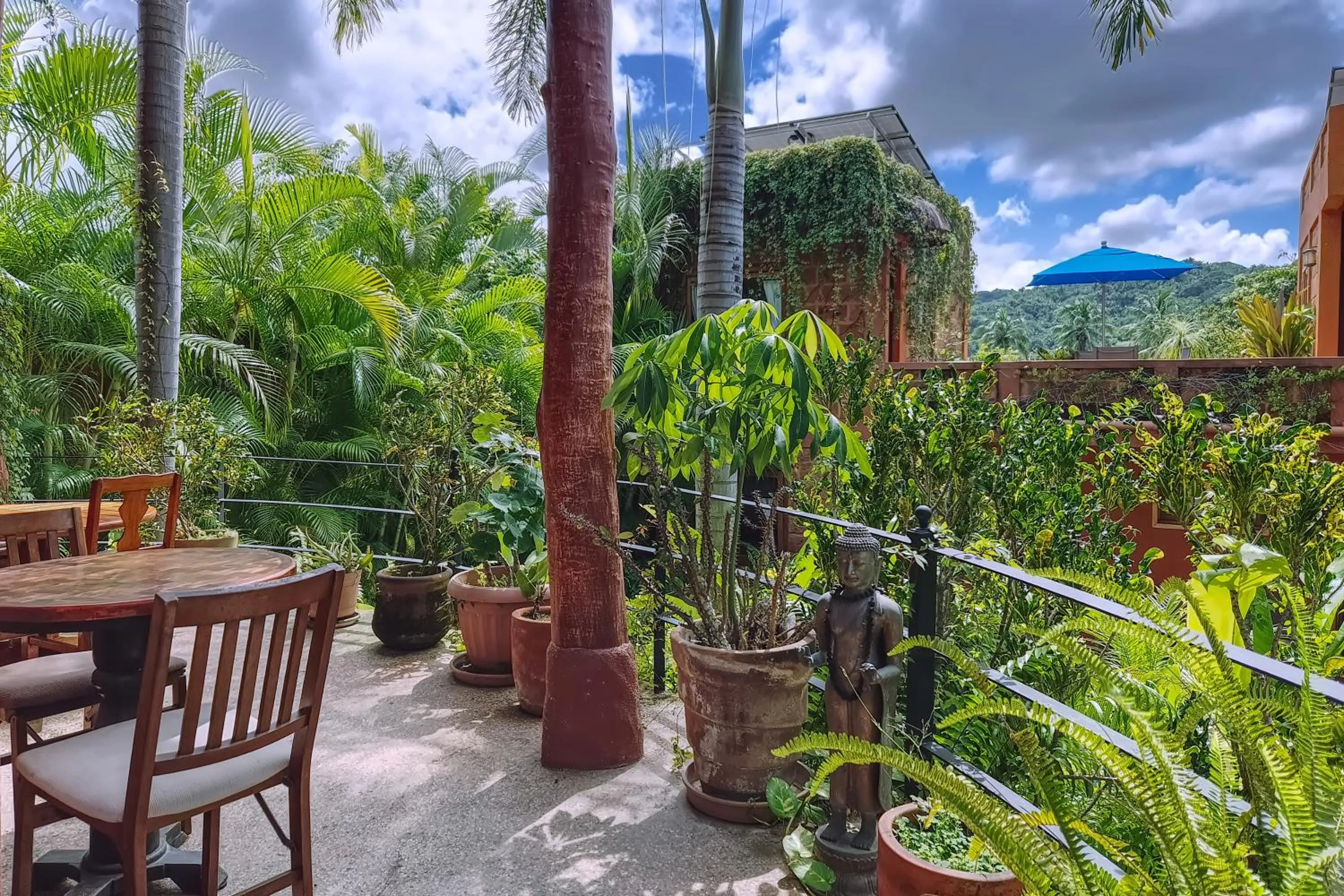 Balcony/Terrace in Hotel Casa San Pancho