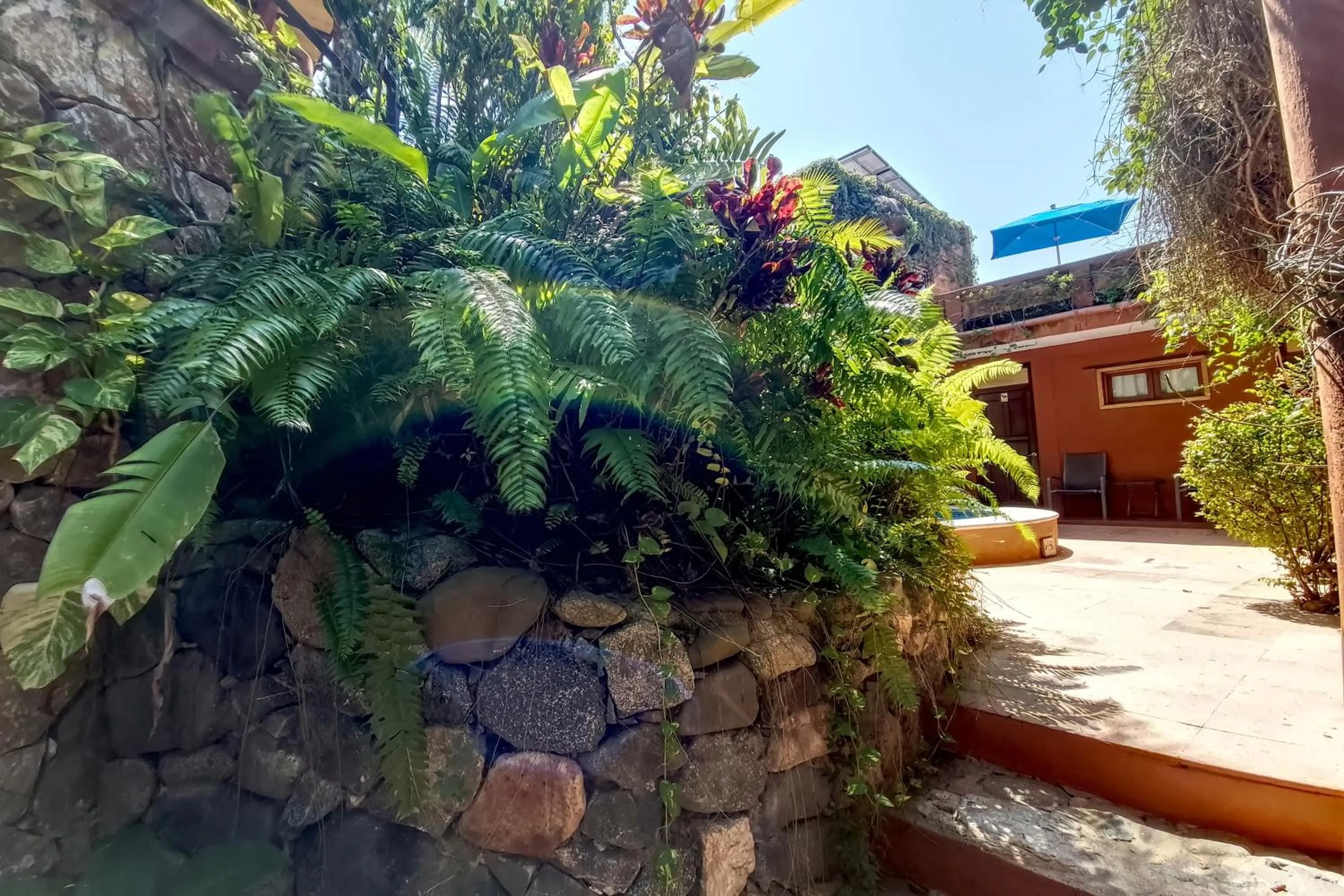Garden in Hotel Casa San Pancho