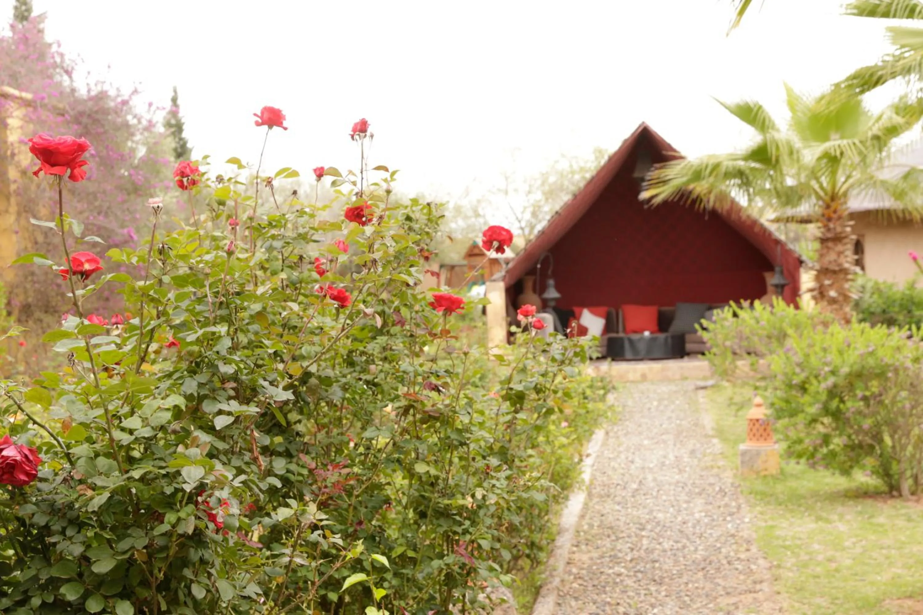 Property building in Fawakay Villas