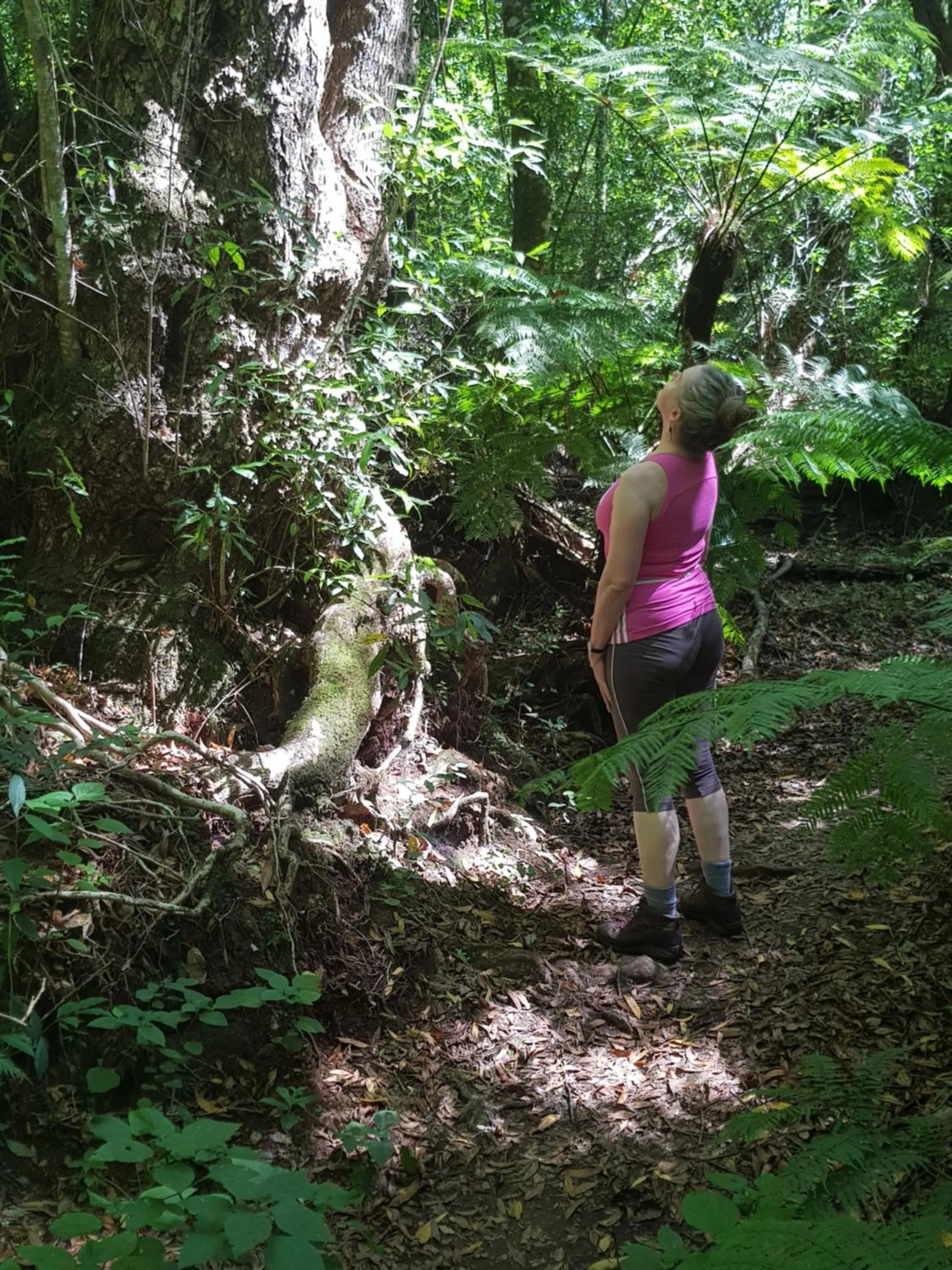 Hiking in Pumula Lodge 4 Star Guesthouse Knysna