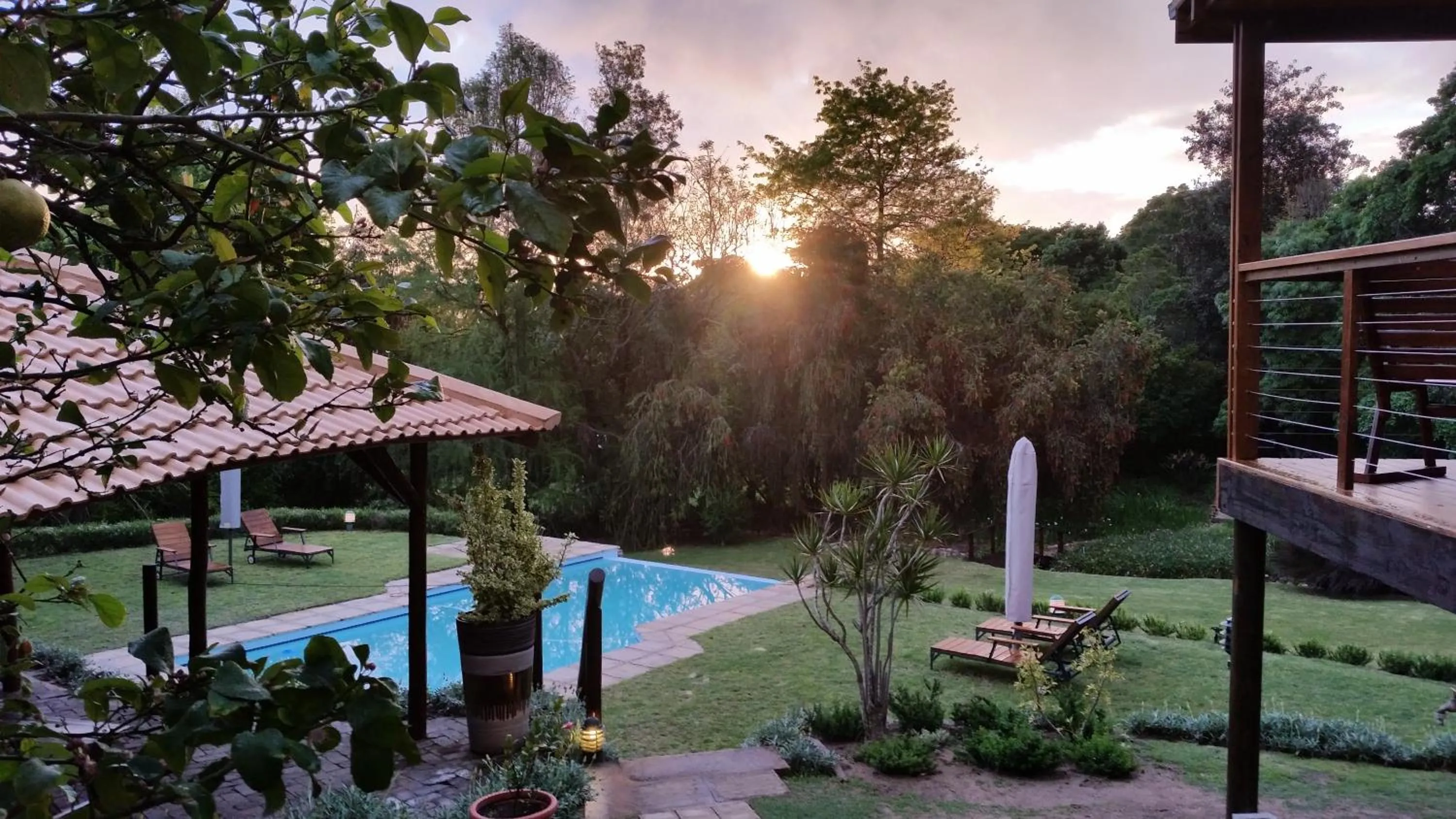 Garden view in Pumula Lodge 4 Star Guesthouse Knysna