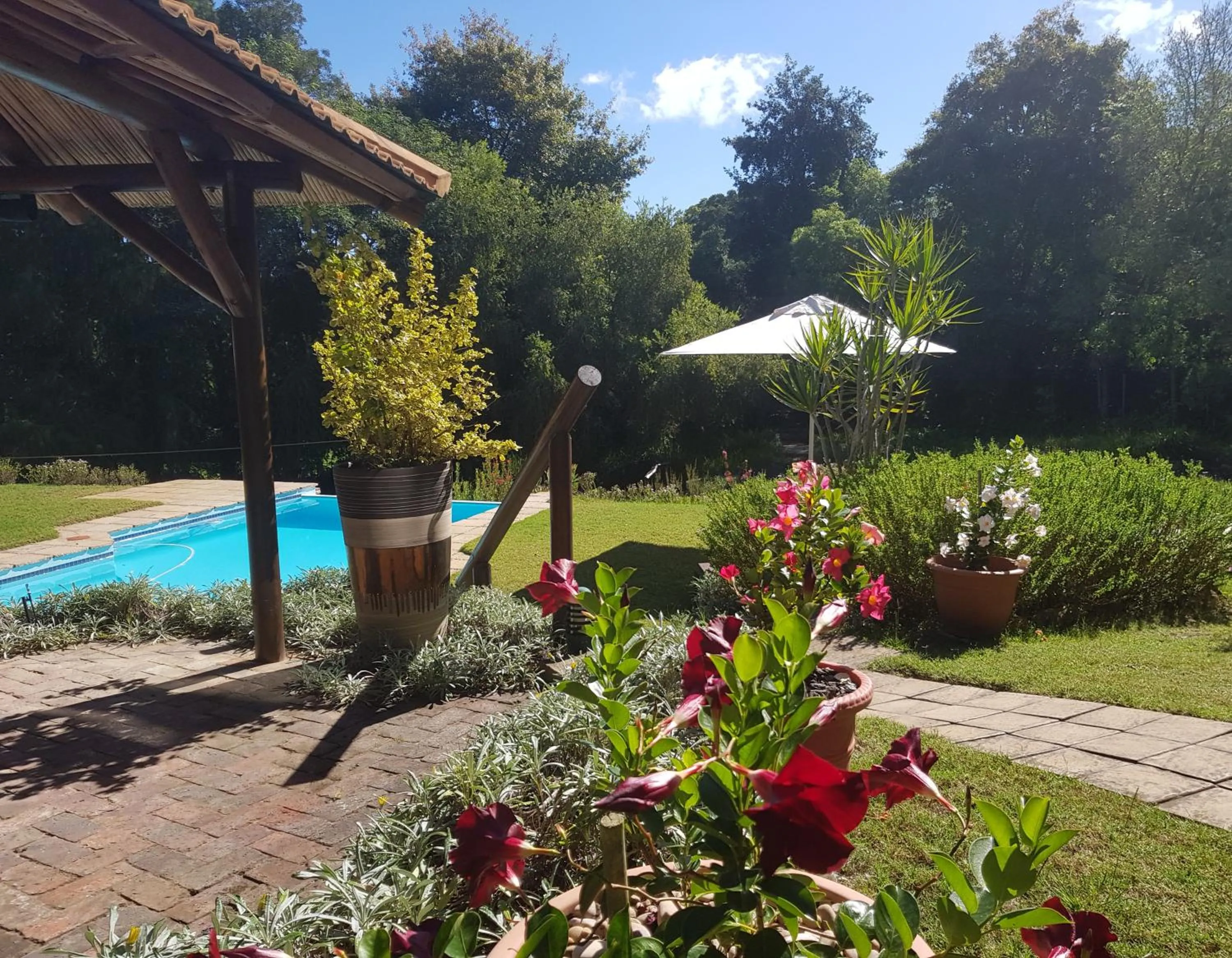 Garden in Pumula Lodge 4 Star Guesthouse Knysna