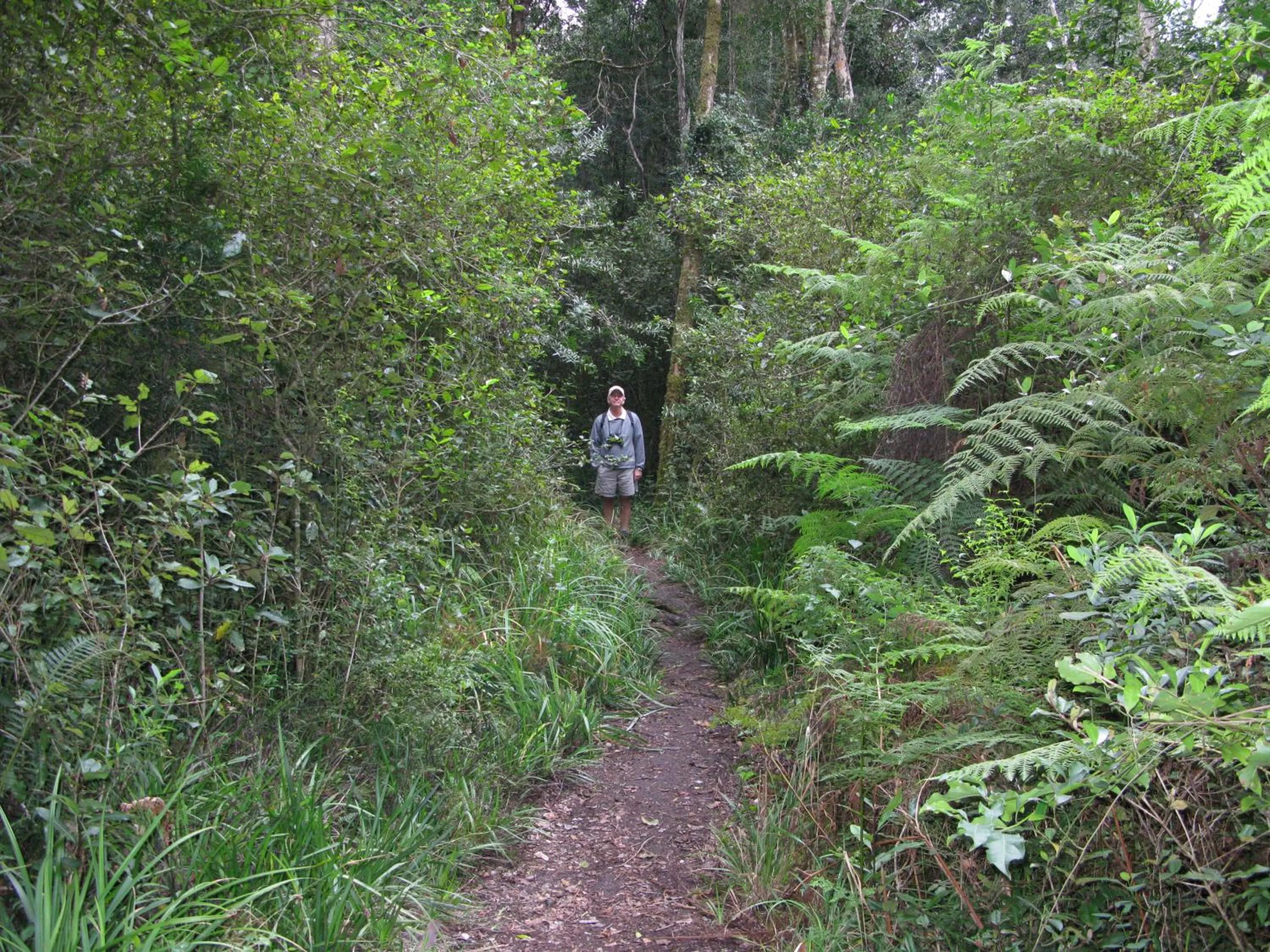 Hiking in Pumula Lodge 4 Star Guesthouse Knysna