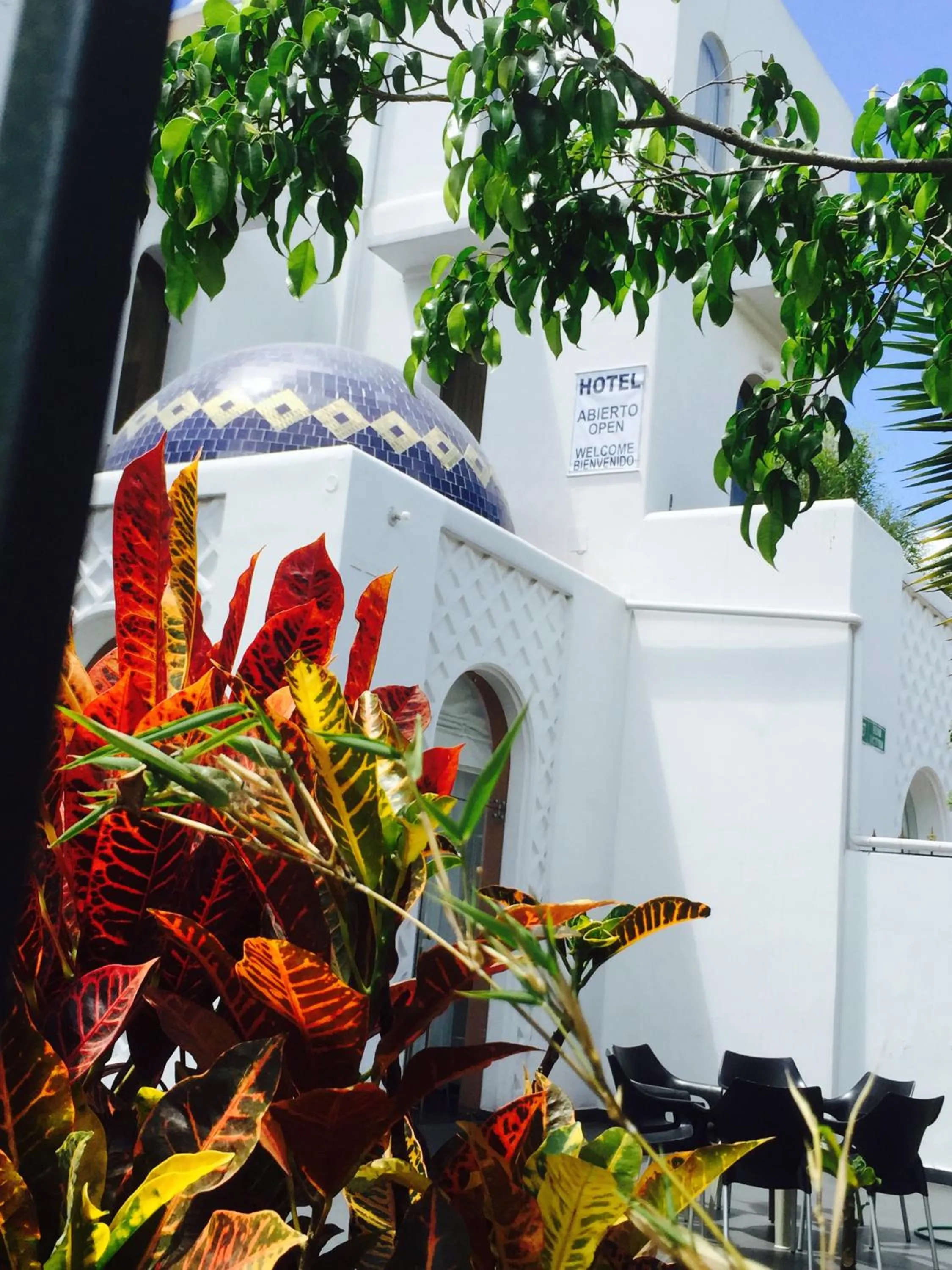 Garden in La Coupole Hotel