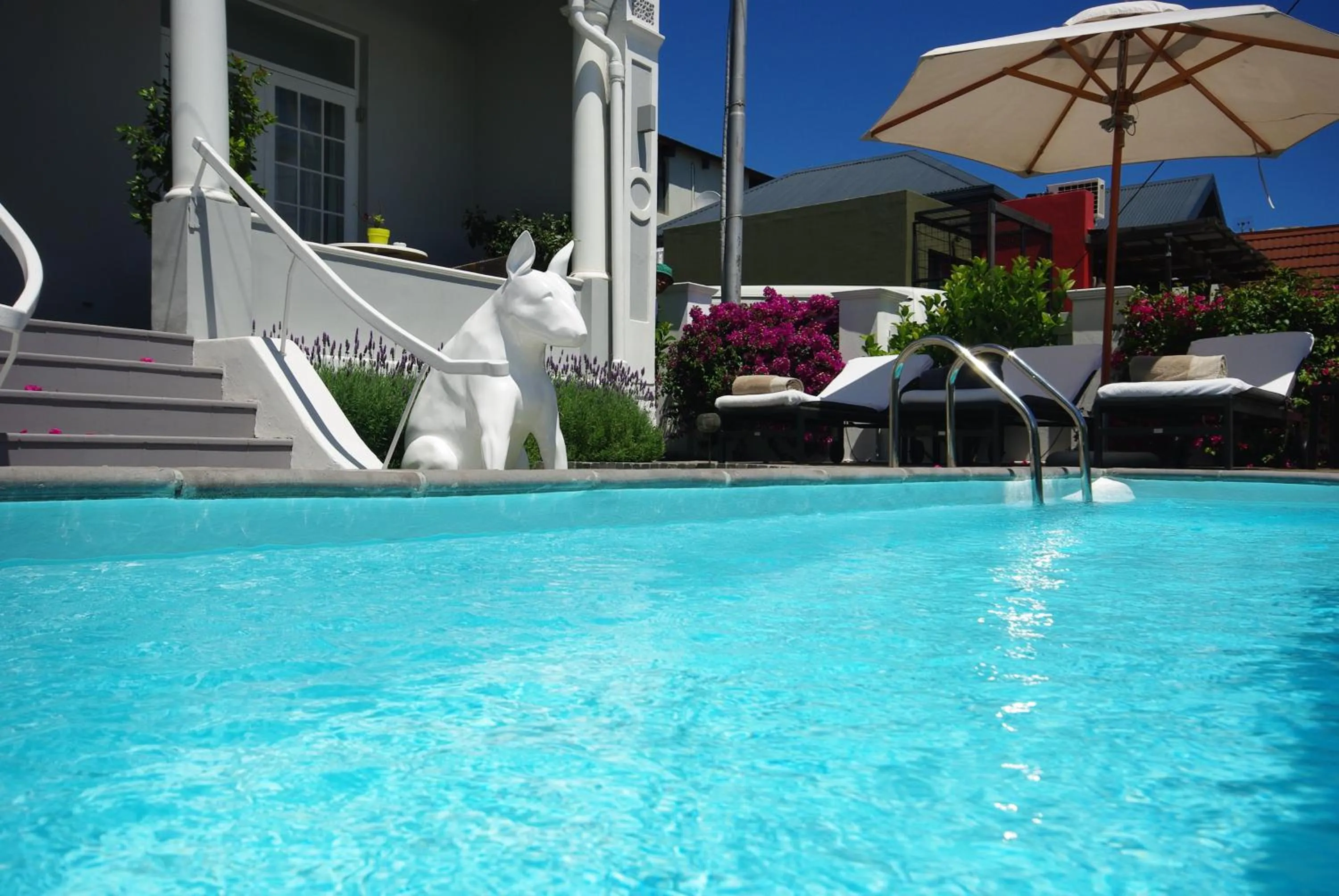 Swimming pool in DysArt Boutique Hotel - Solar Power