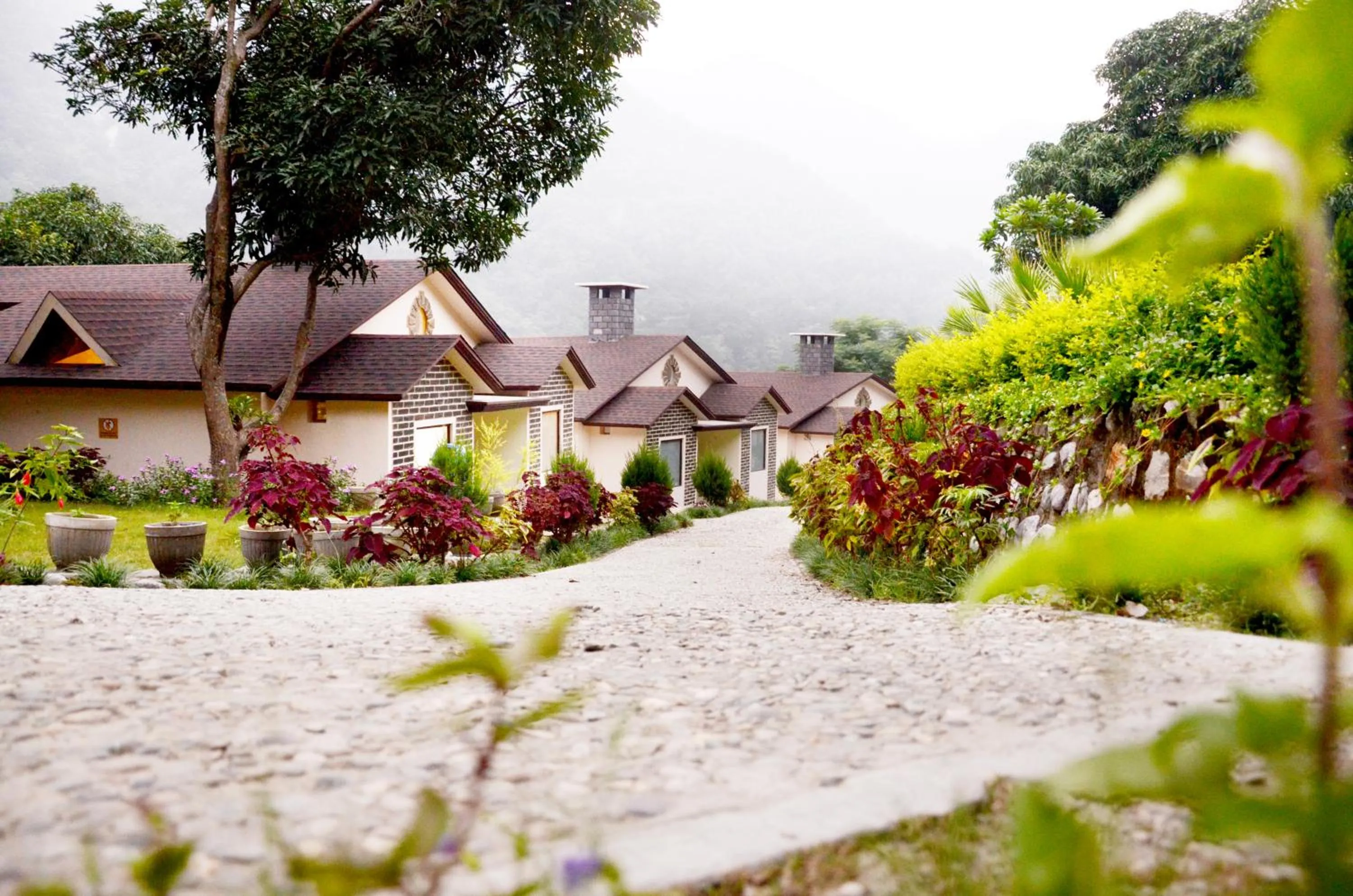 View (from property/room) in LaTigre Resort