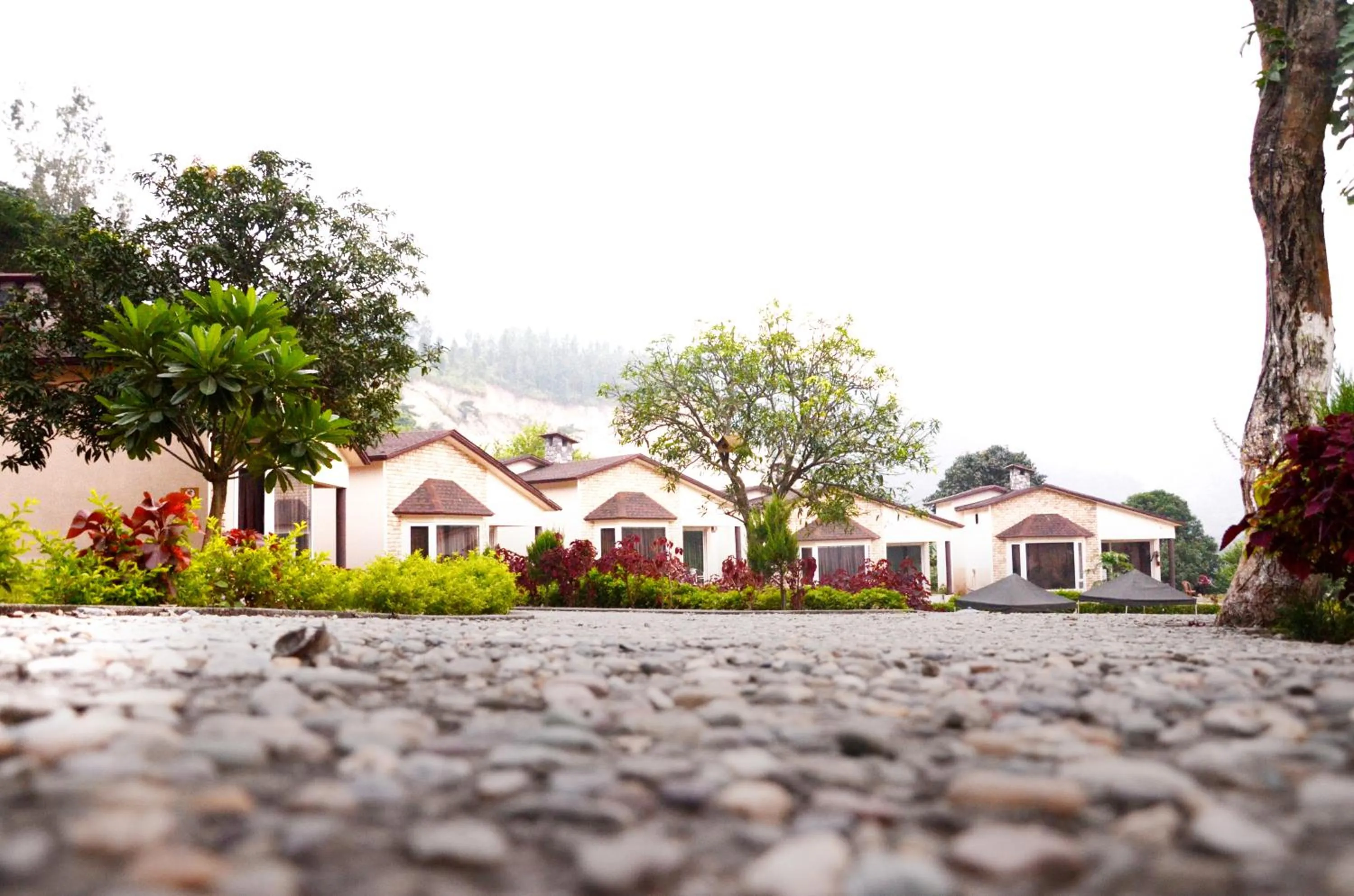 Property building in LaTigre Resort