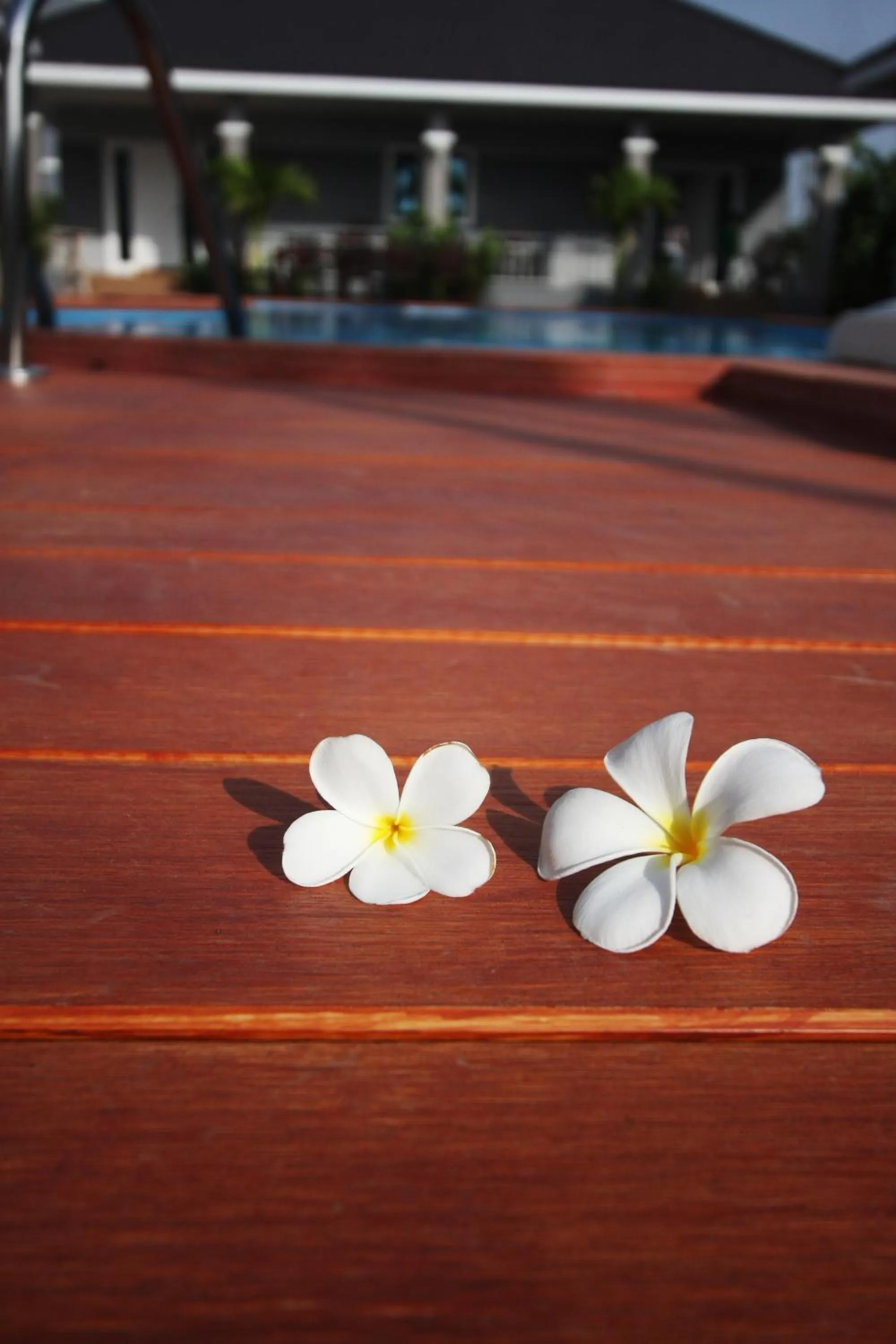 Day in Rongsang Resort