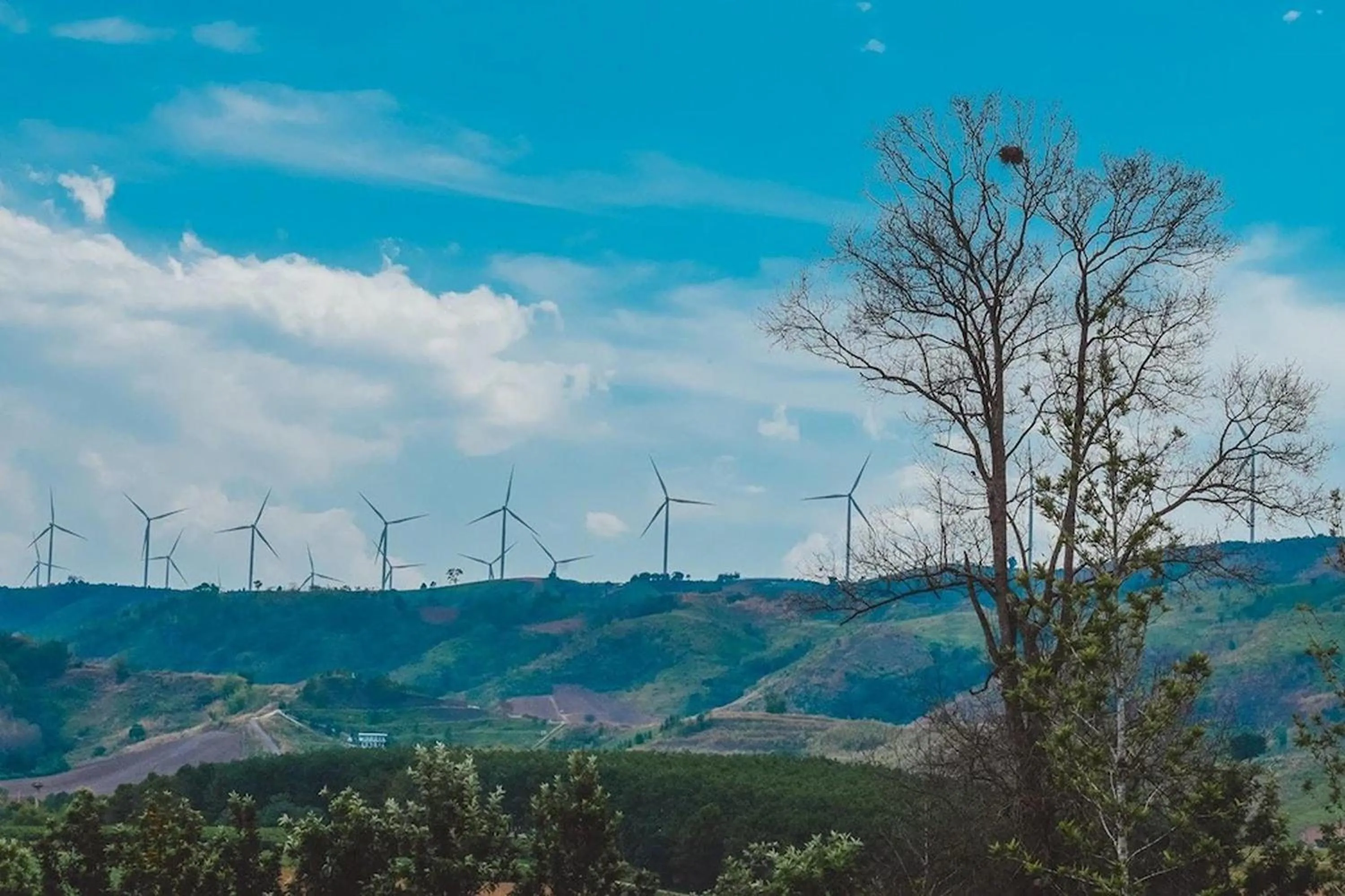 Natural landscape in The Posh Khao Kho