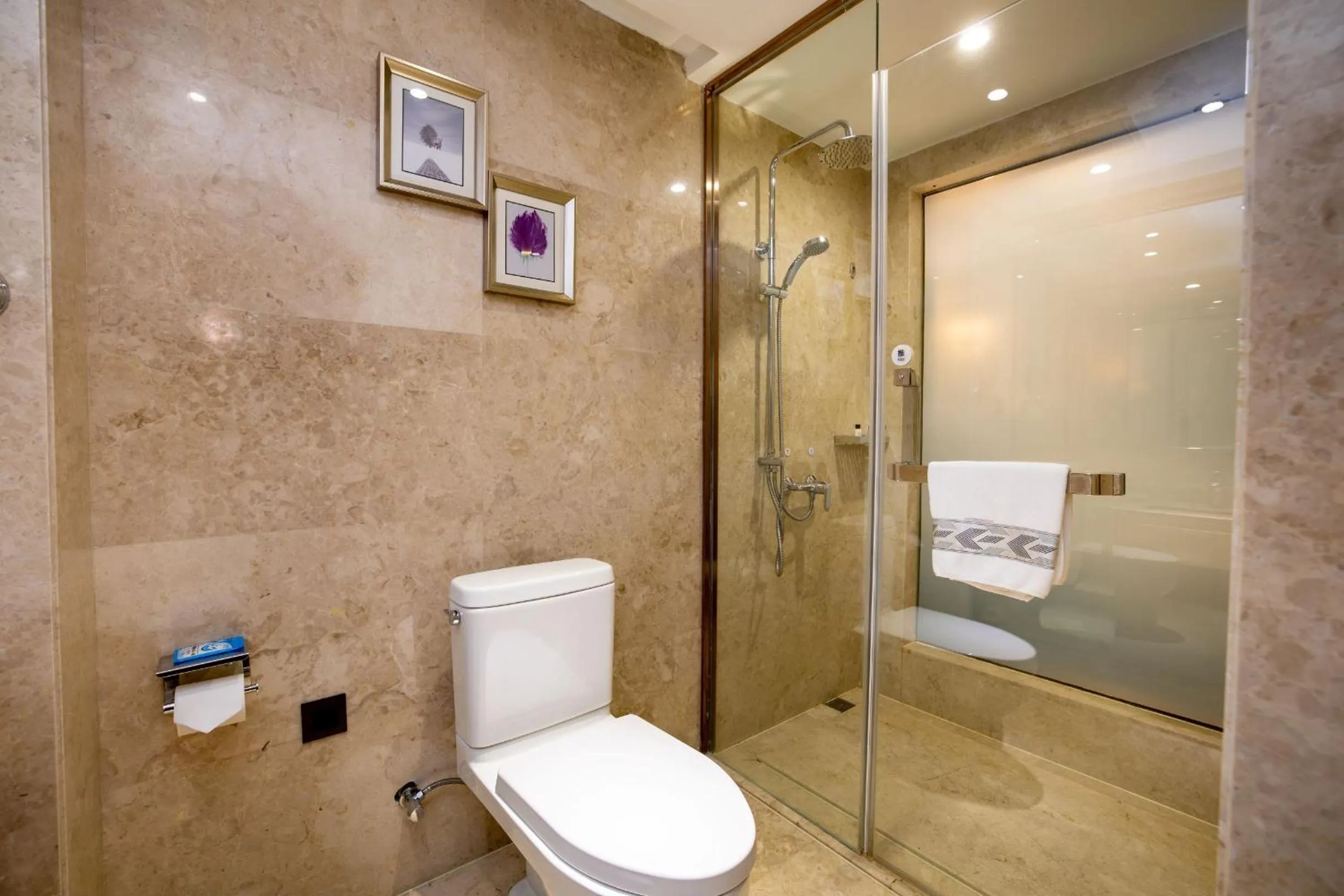 Shower in Madison Hotel Zhengzhou Erqi Square