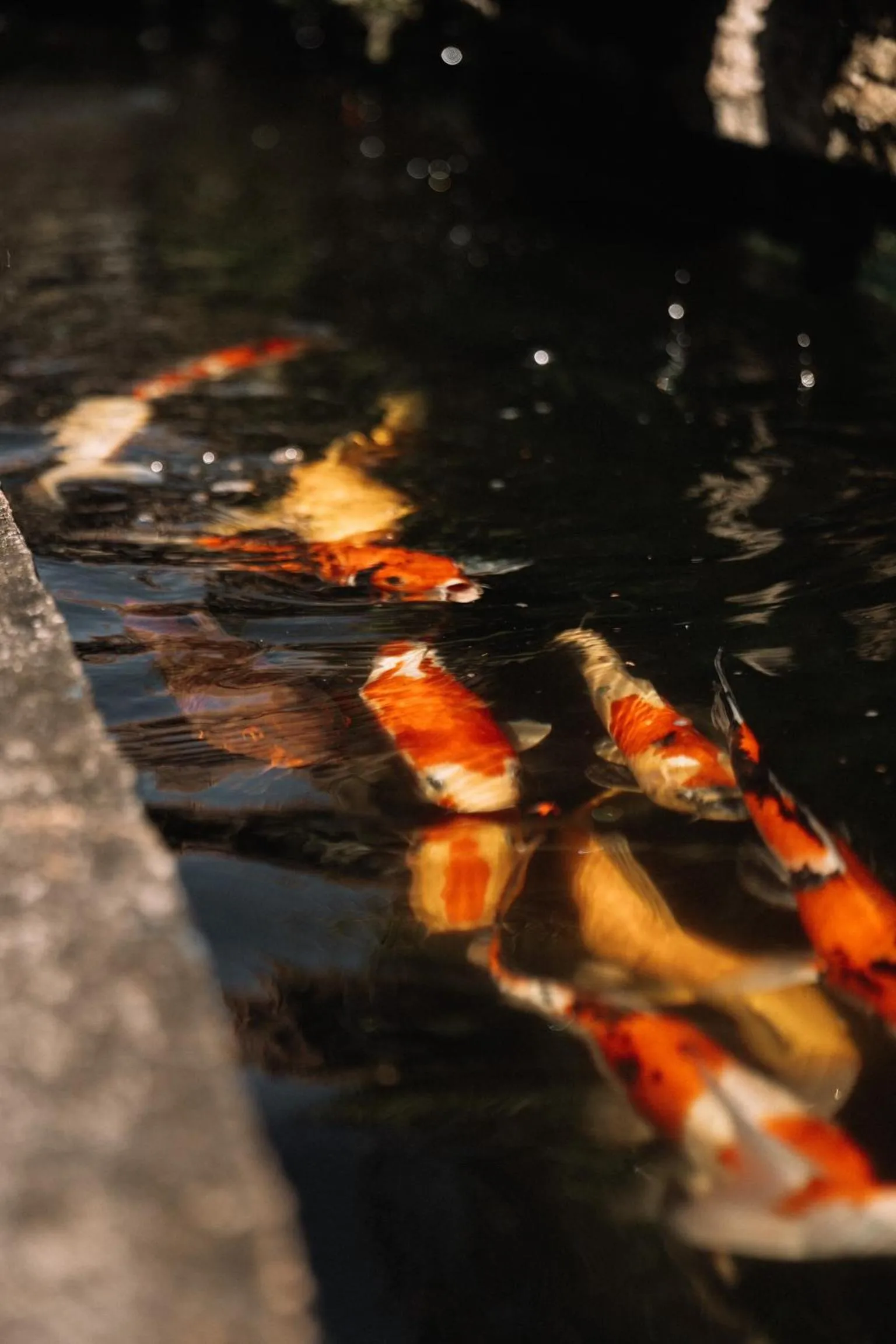 Merthayasa Bungalow 2