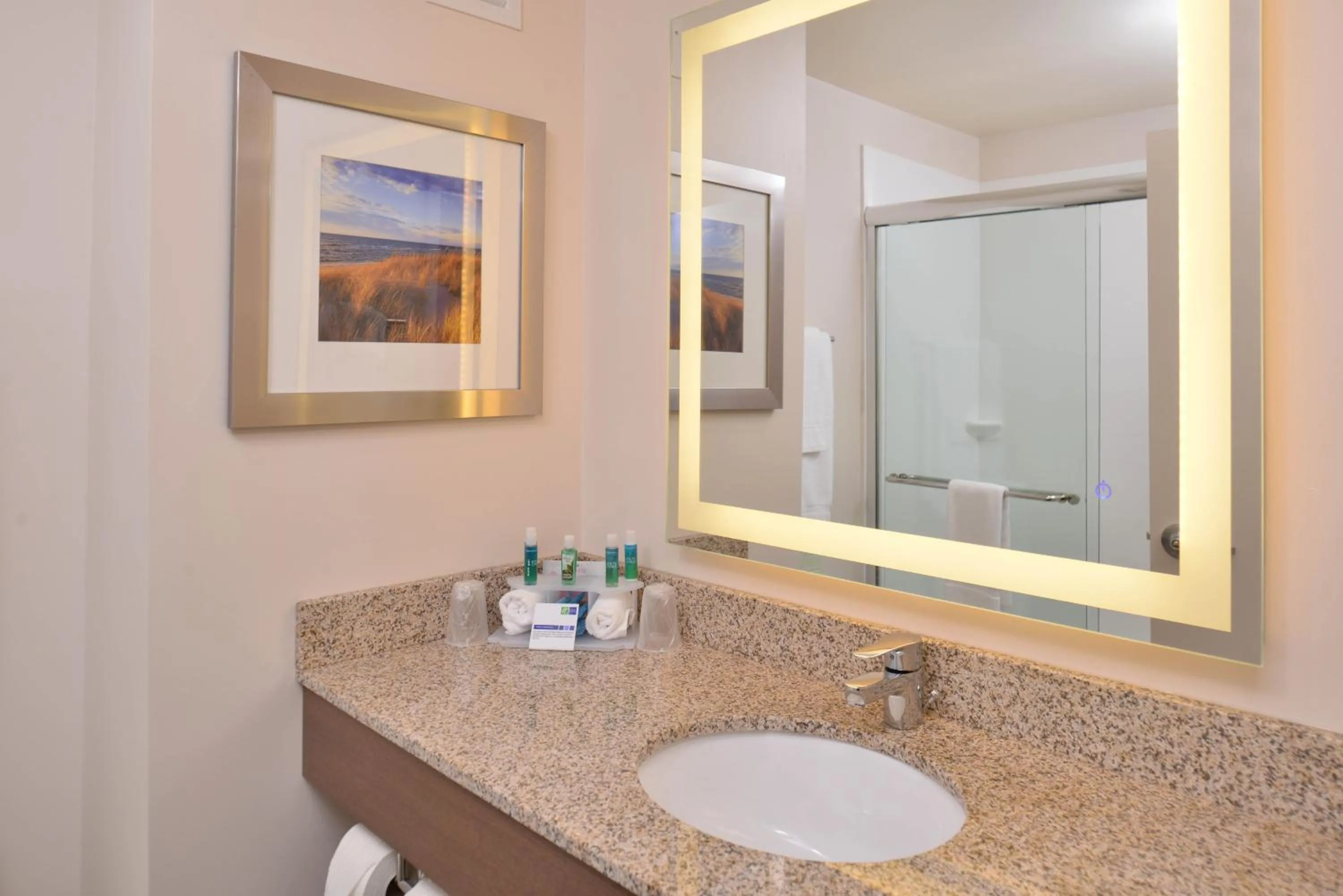 Bathroom in Holiday Inn Express & Suites Dearborn SW - Detroit Area by IHG