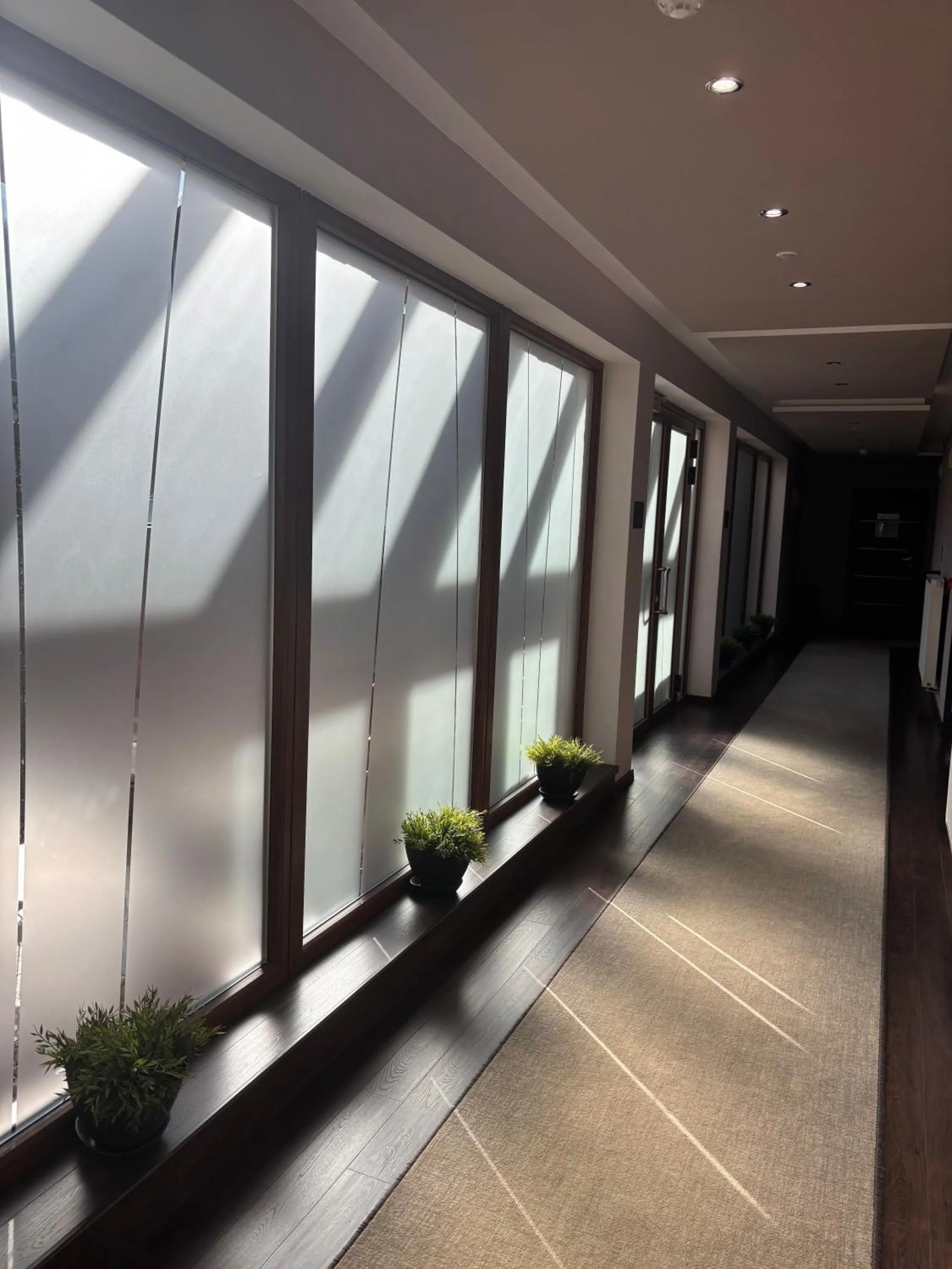 Meeting/conference room in Hotel DARO