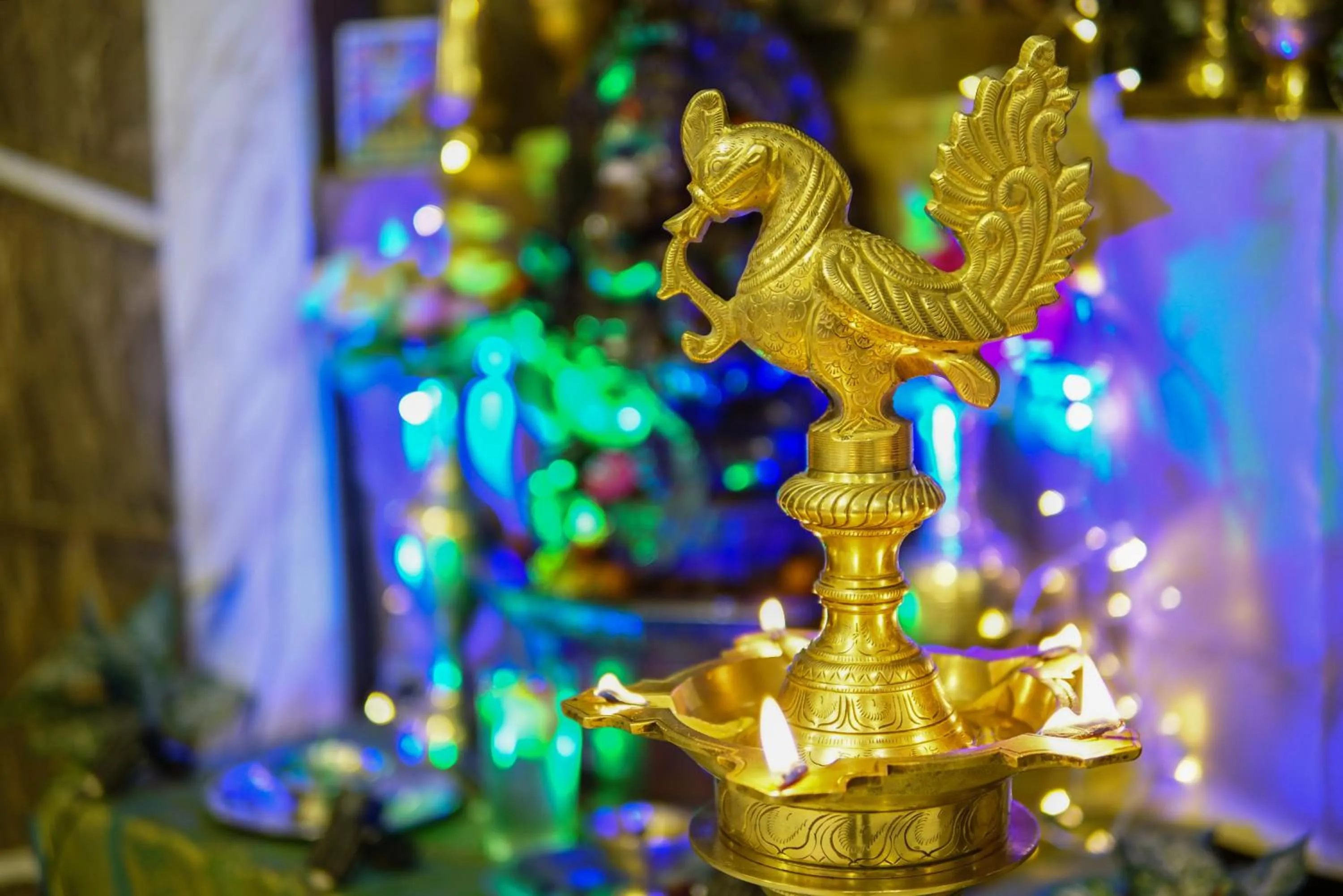 Activities in MySpace Hotels Silverstar