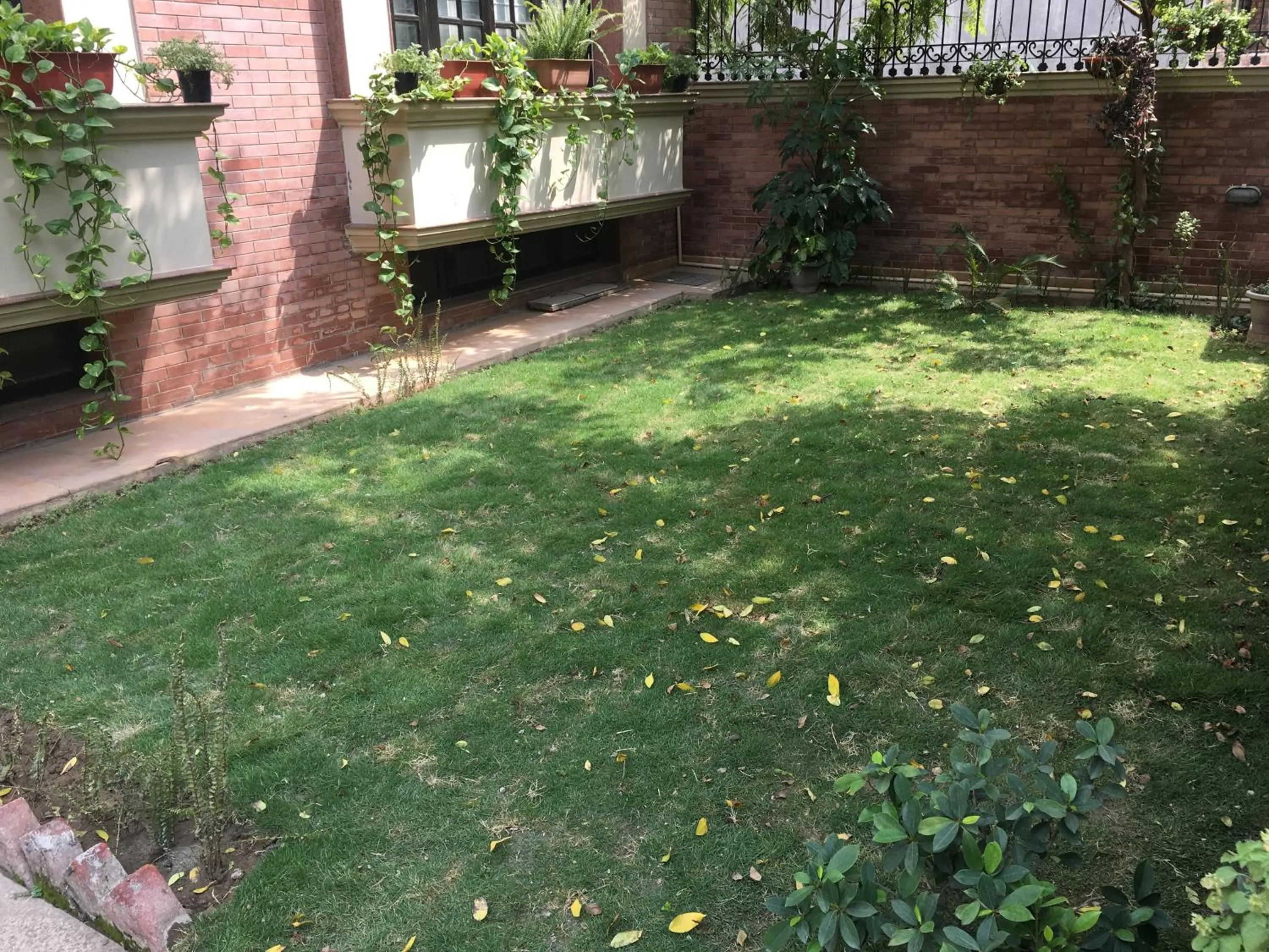 Garden in La Residence