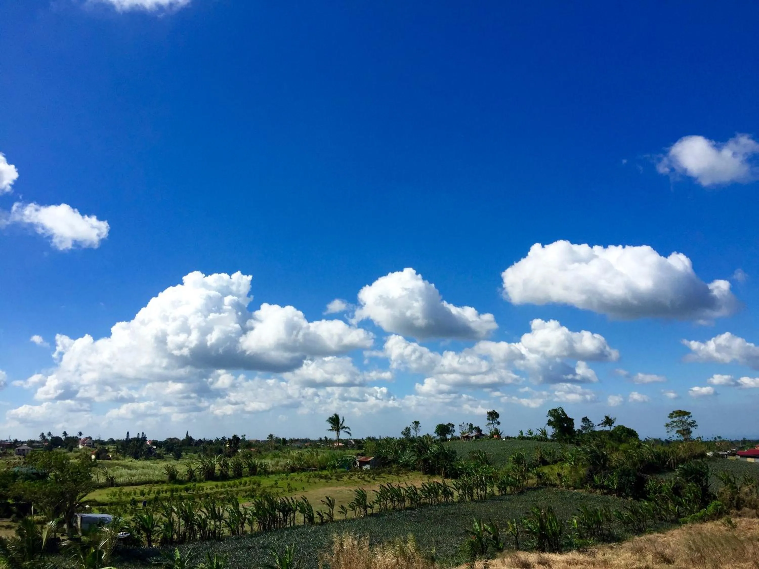Natural landscape in Hotel Aroha