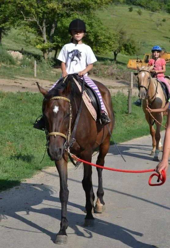 Horse-riding in Hotel Olga