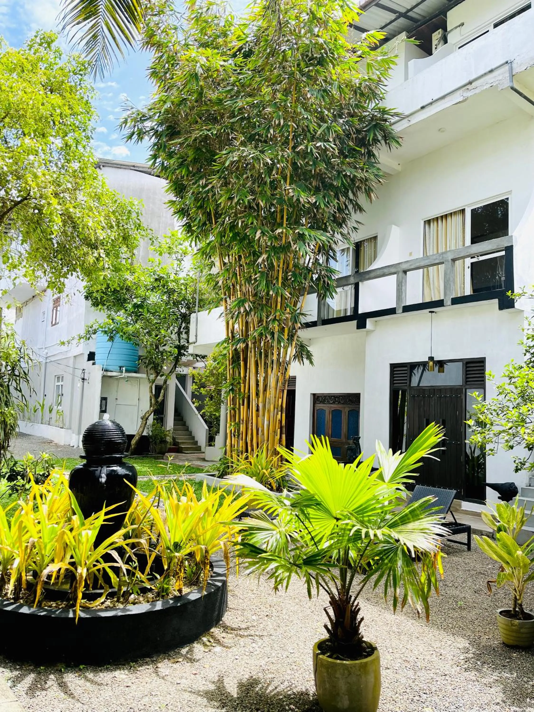 Garden in Cocoplant Surf Inn