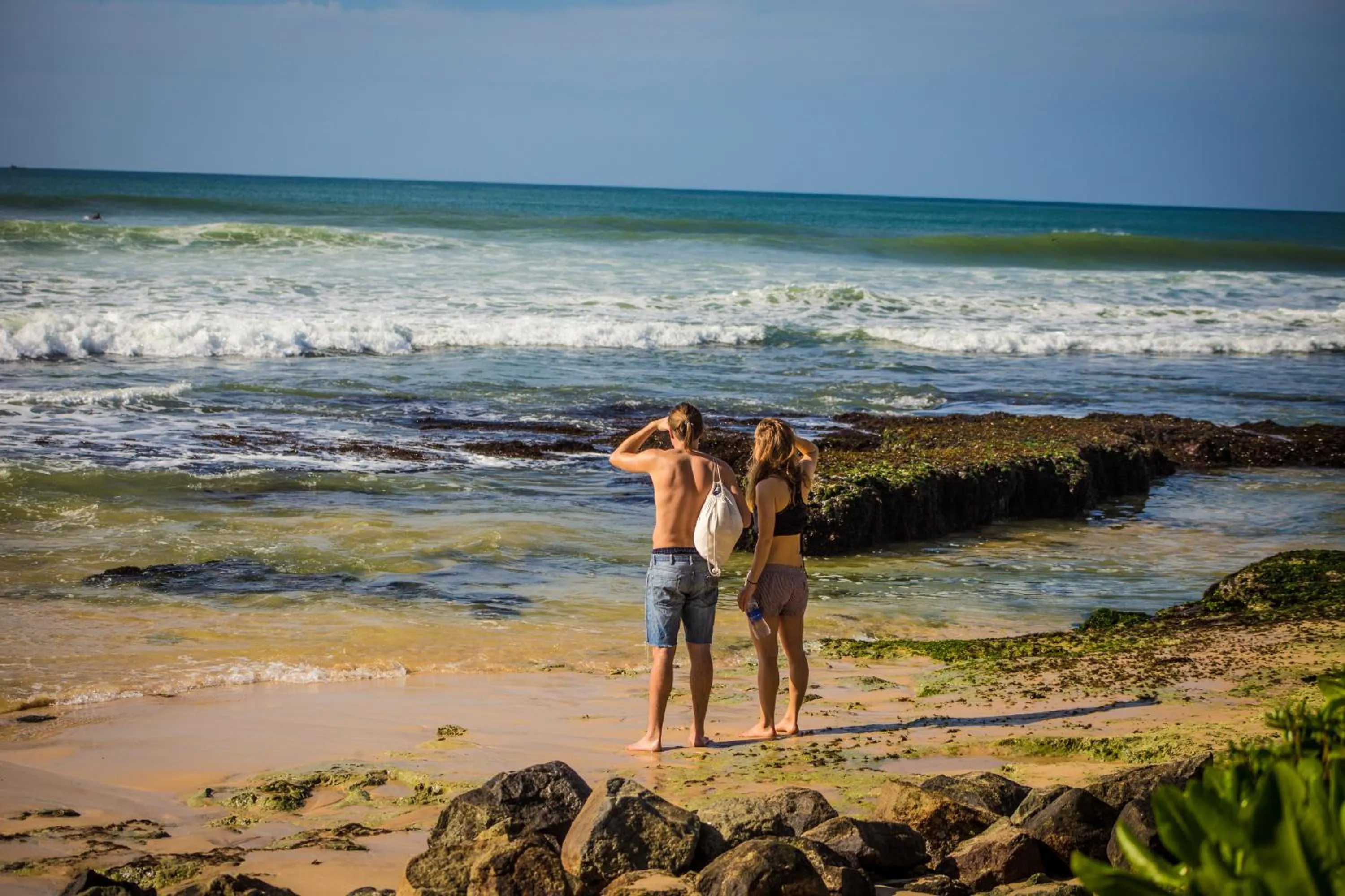 Beach in Cocoplant Surf Inn